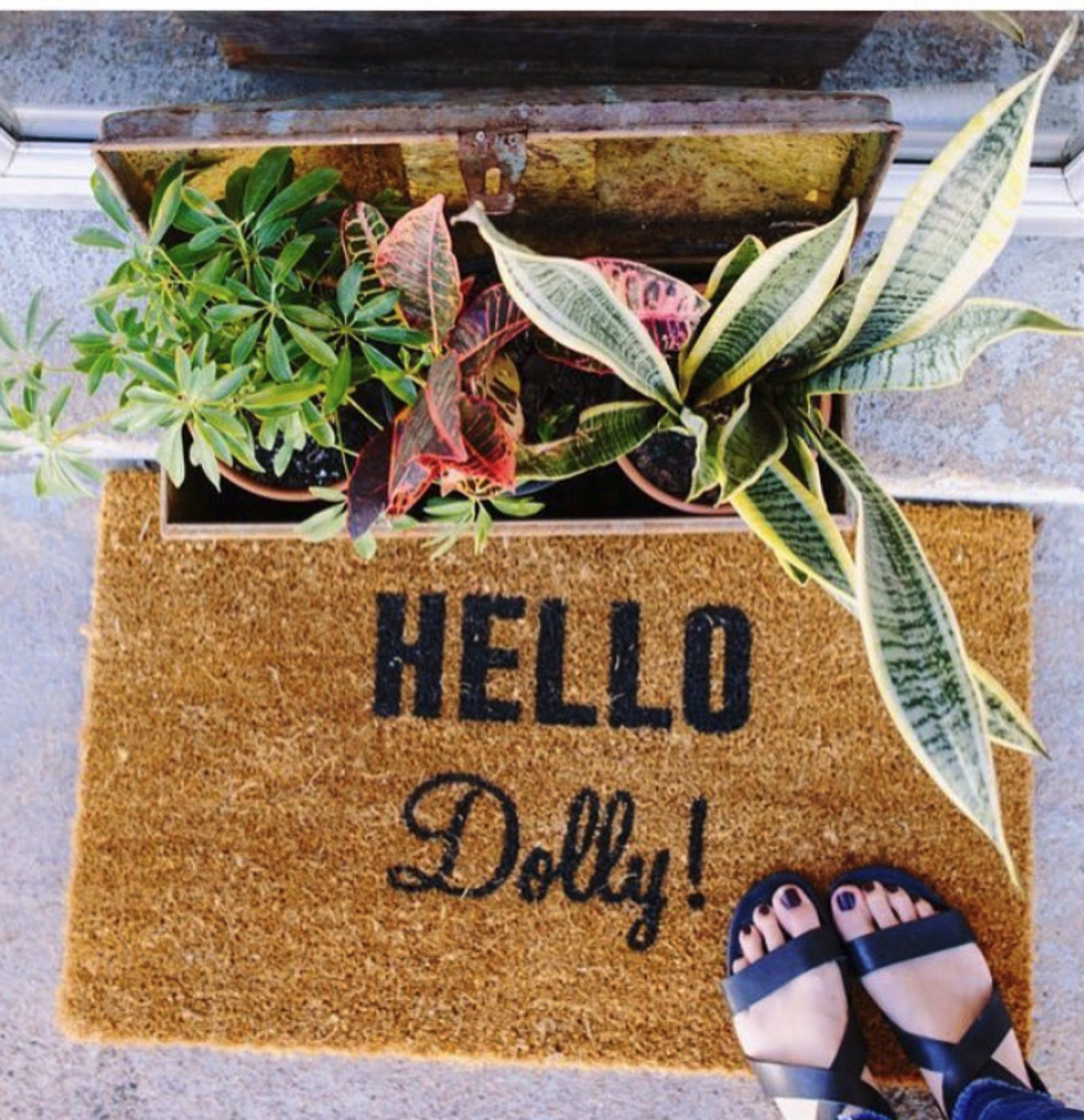A doormat reading "HELLO Dolly!" is positioned at the entrance near potted plants and a wooden planter box.