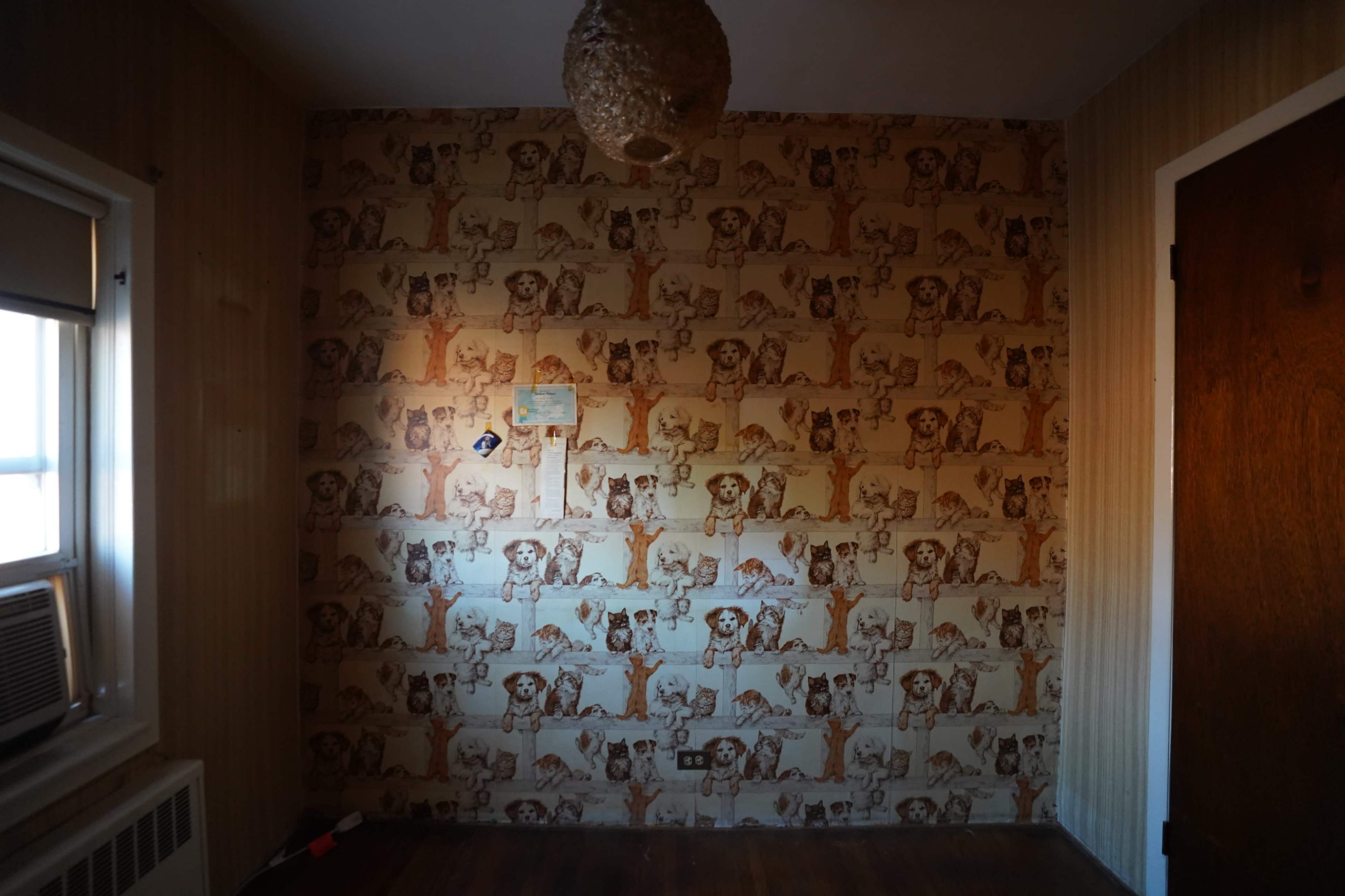 The room features a patterned wallpaper covered in images of dogs and has a light fixture hanging from the ceiling.