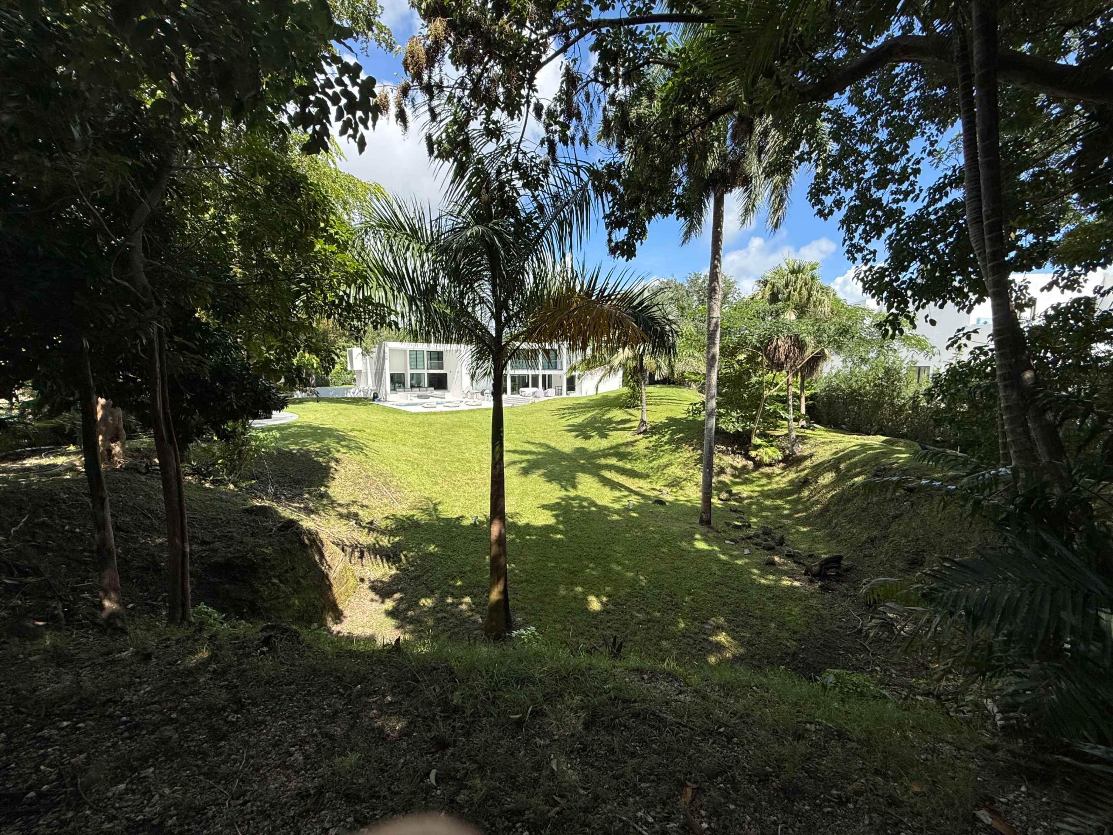 A modern house with large windows is situated on a grassy area surrounded by lush trees and palm plants.