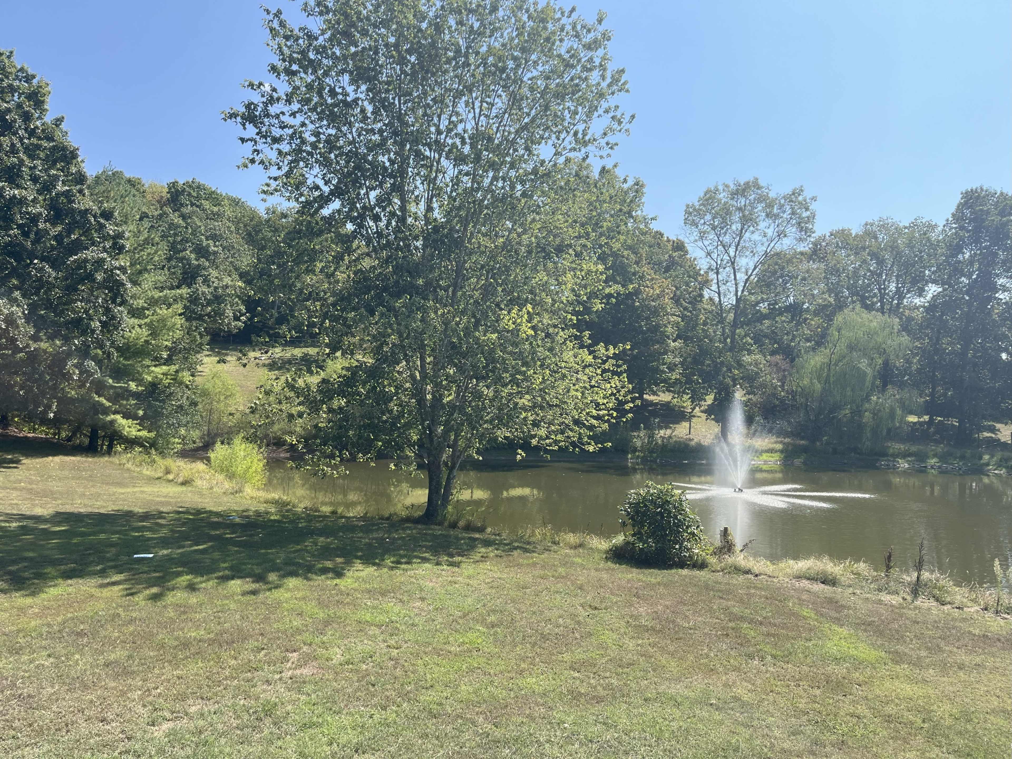 A serene pond is surrounded by greenery, with a fountain in the center and trees lining the banks.