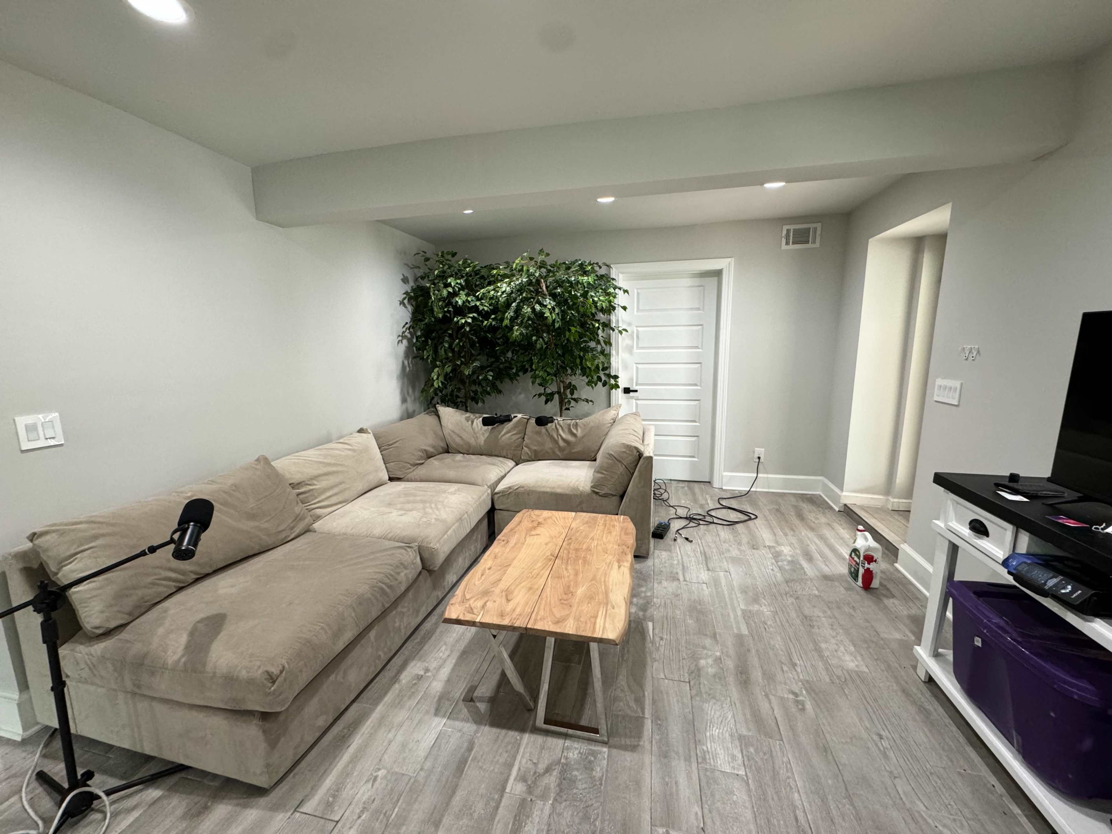 A light gray room features a large sectional couch, a wooden coffee table, and a potted plant against one wall.