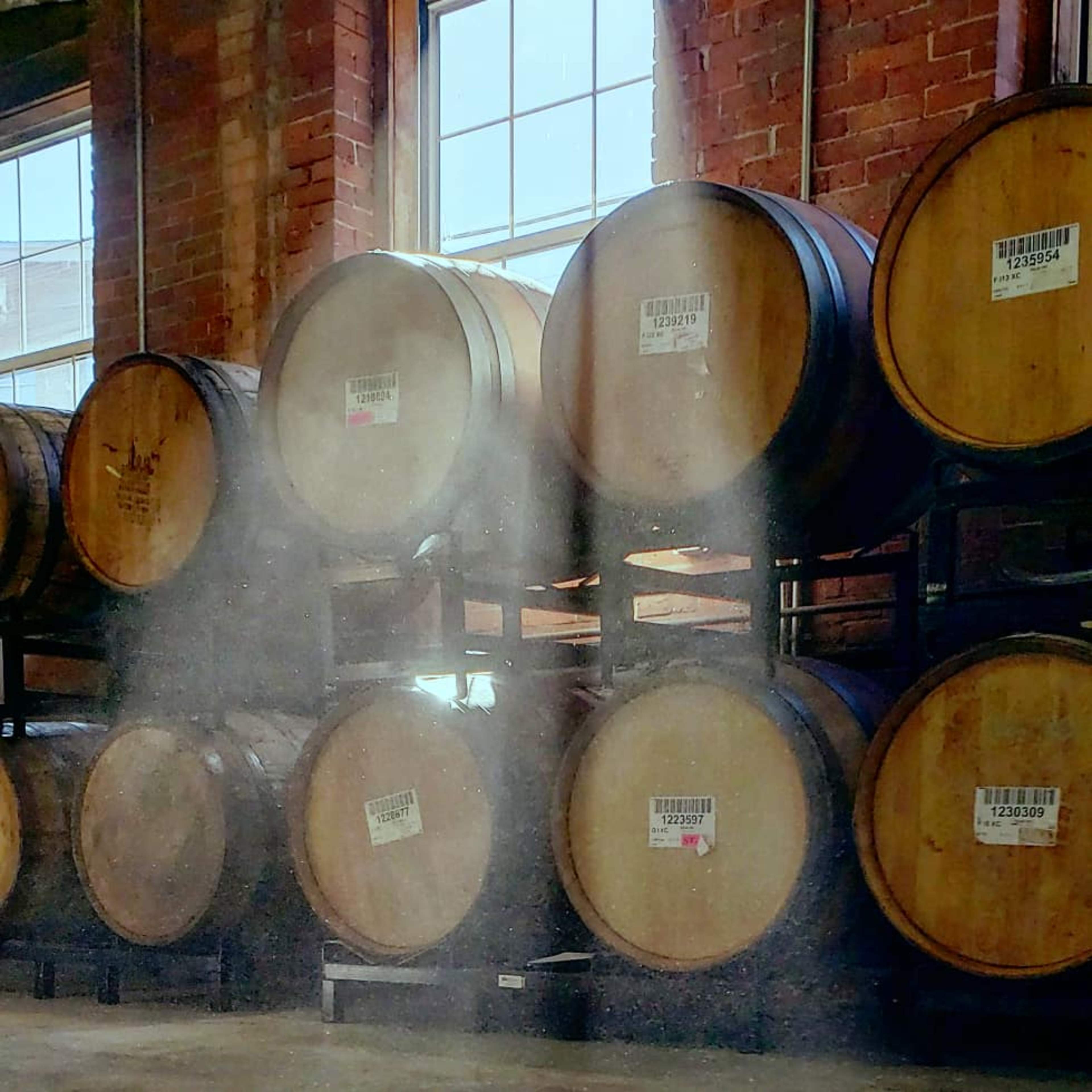 Several wooden barrels stacked against a brick wall, with shafts of light illuminating the dust particles in the air.