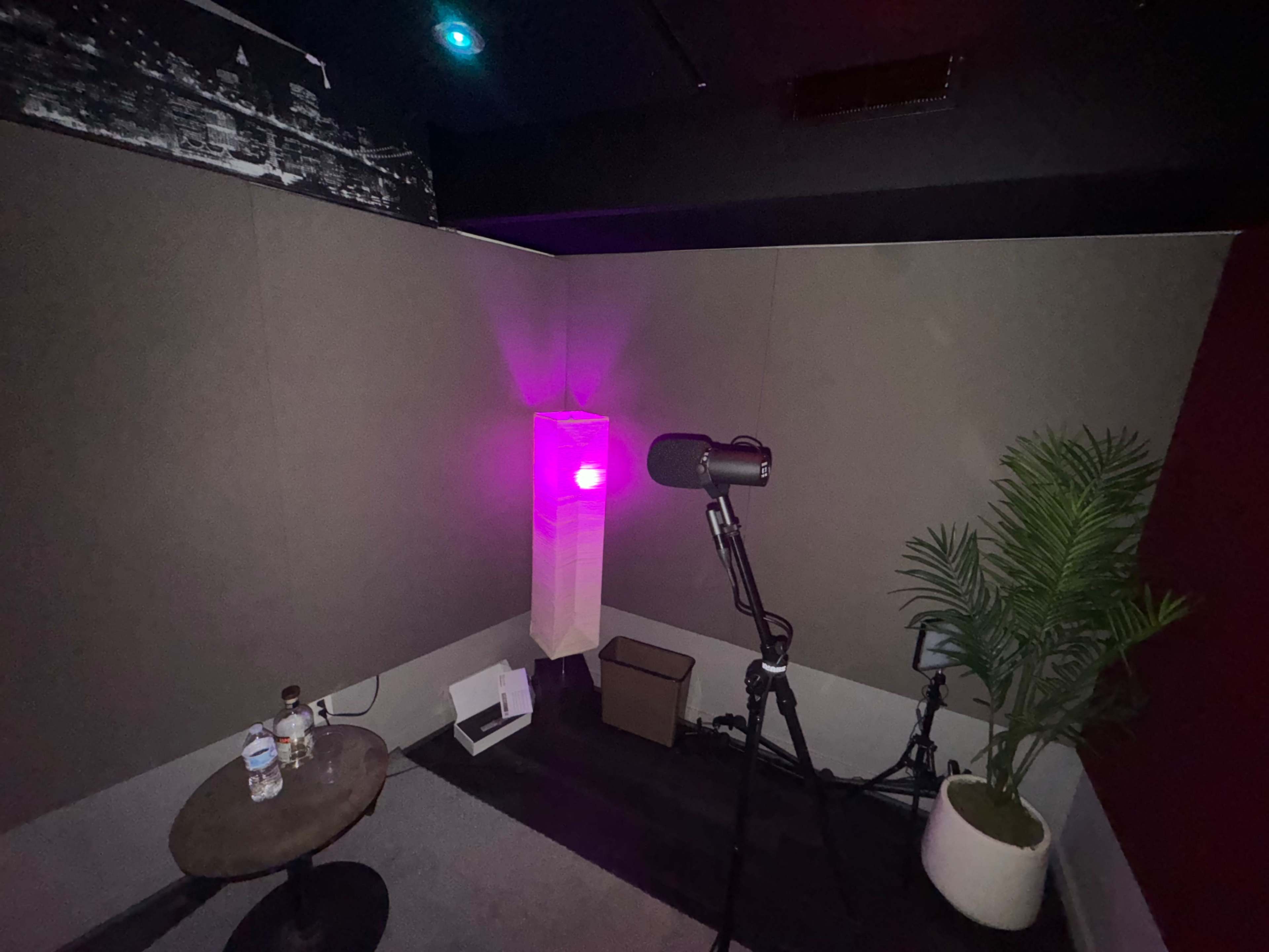 The image shows a small recording or sound booth with a microphone on a stand, a lamp with a pink light, a potted plant, and a small table.