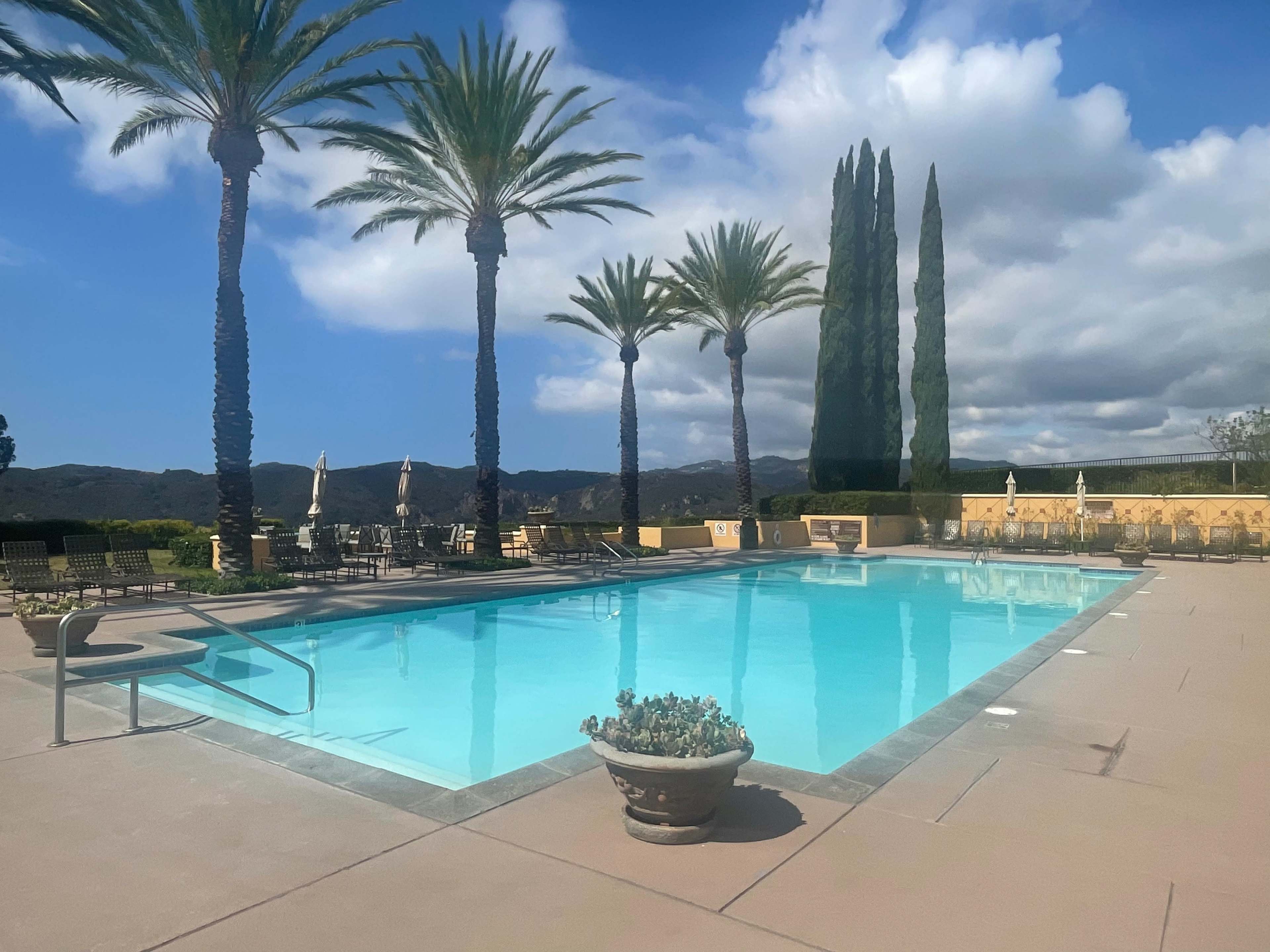 A clear swimming pool is surrounded by palm trees and hills under a partly cloudy sky.