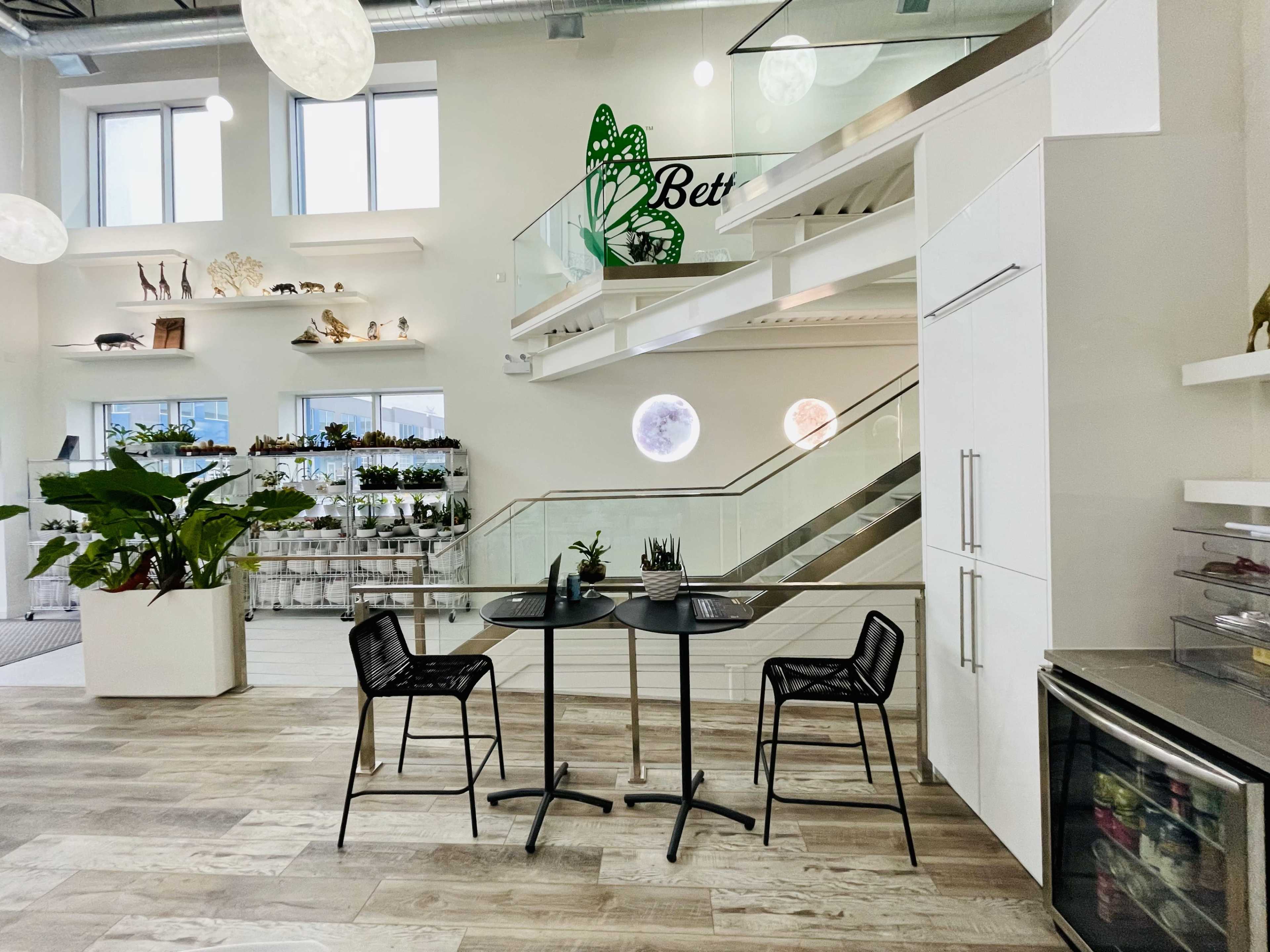 The image shows a modern interior space featuring a small dining table with two chairs, potted plants, and a display of various decor items on shelves.