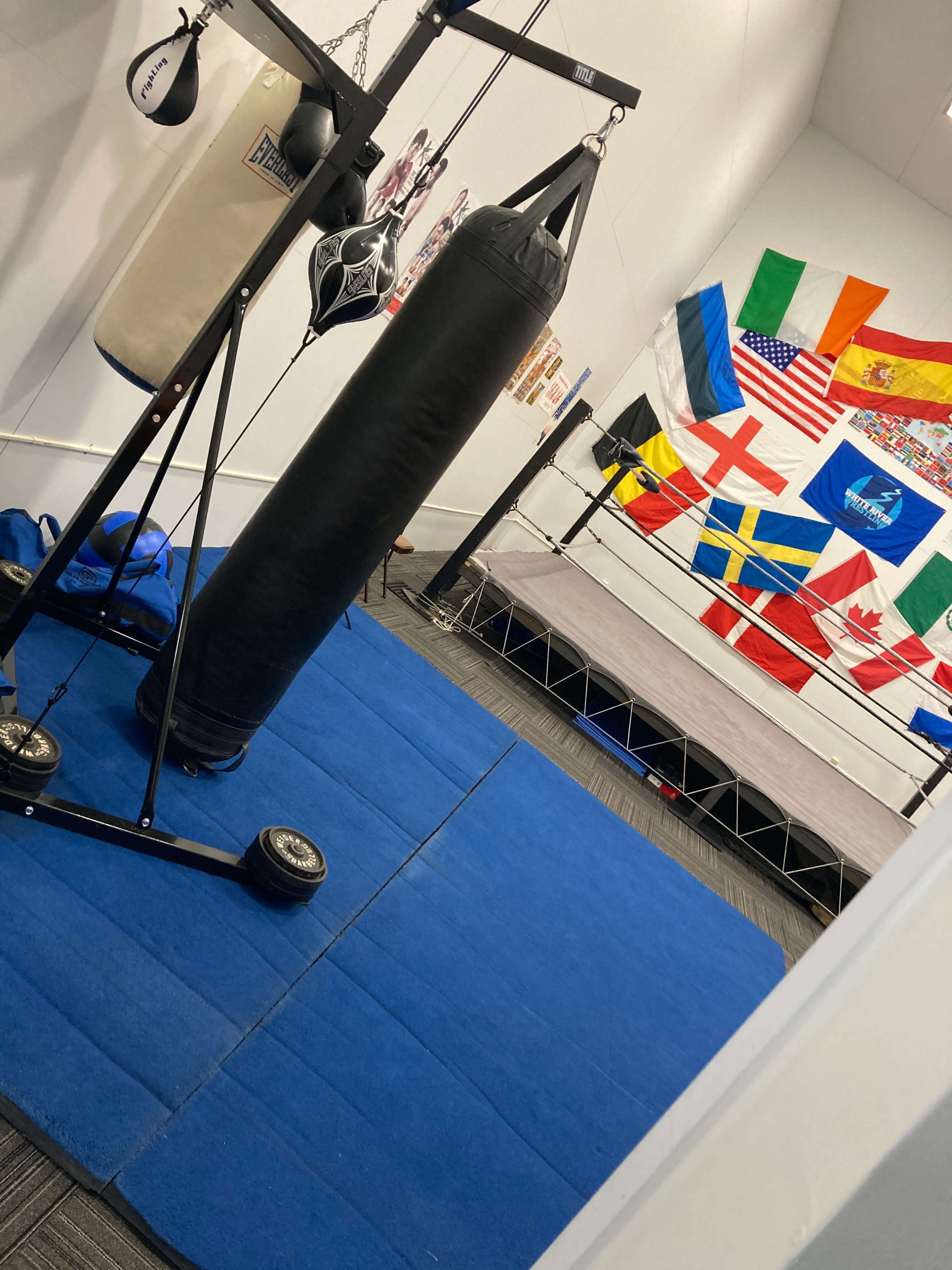A boxing gym equipped with a heavy bag, blue mats, and a wrestling ring surrounded by flags from various countries.