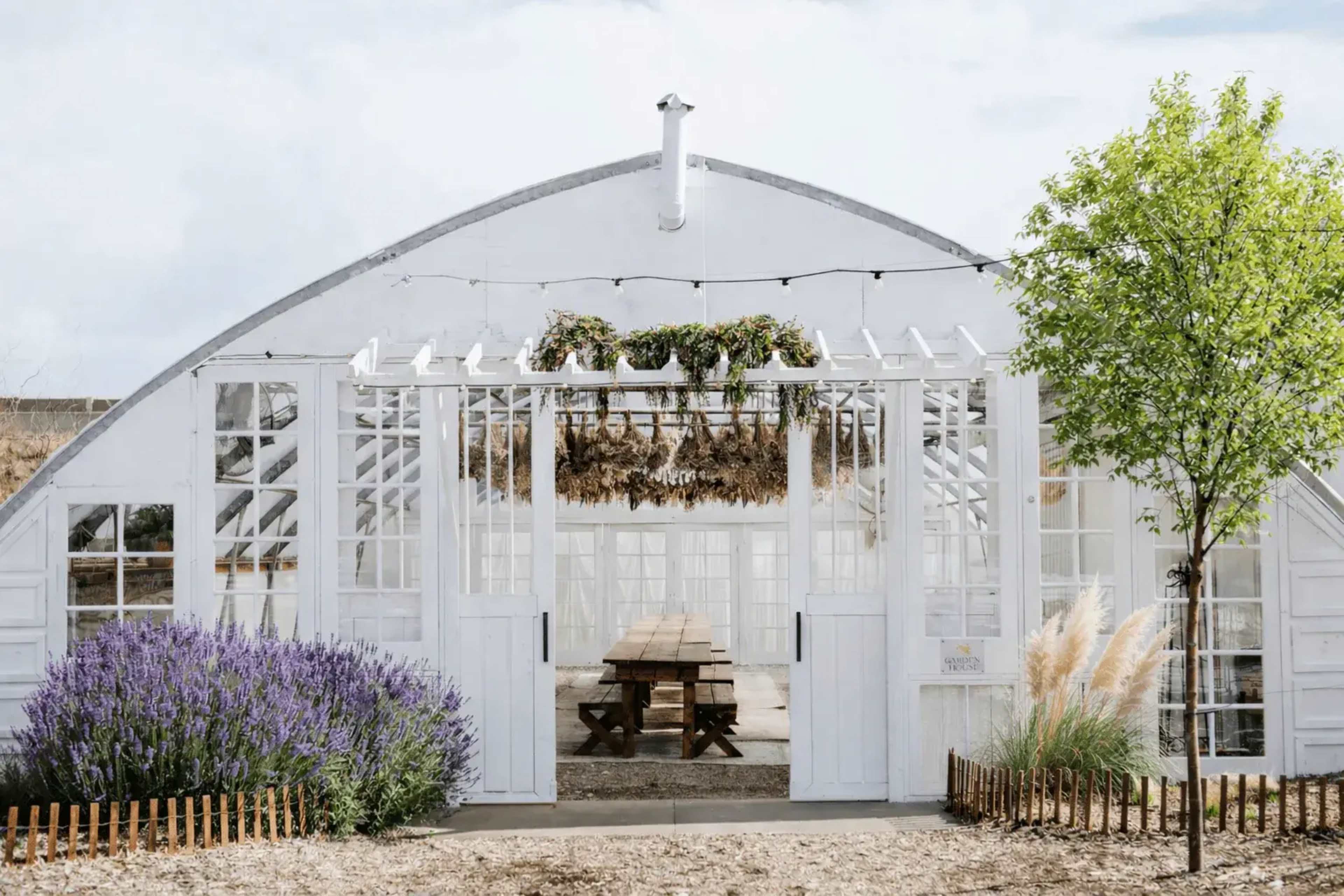 A white greenhouse features a wooden picnic table inside and is surrounded by lavender plants and greenery.