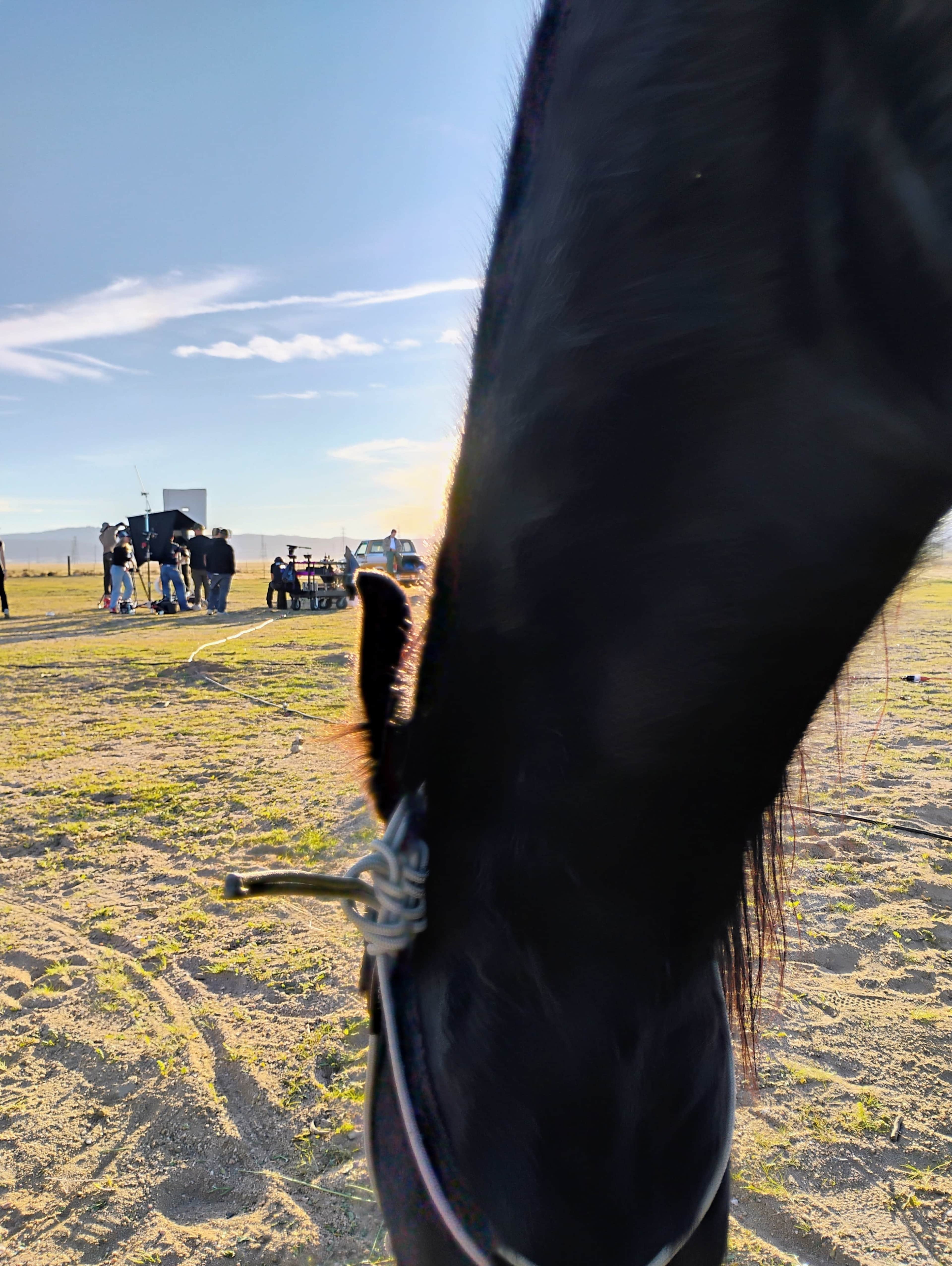 A close-up of a horse's head in the foreground with people and vehicles in the background on an open area.