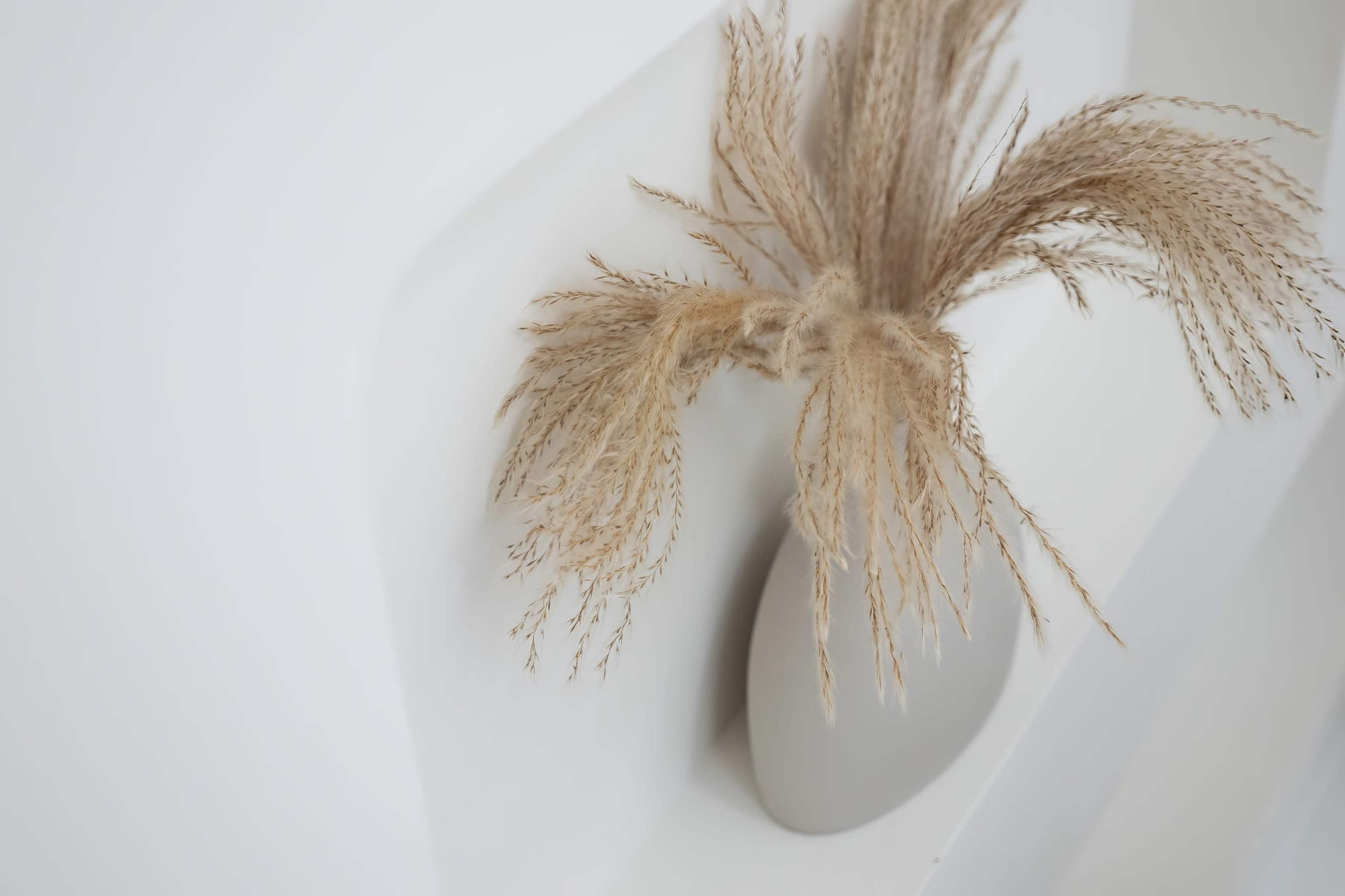 A simple beige vase holds dried grasses on a white shelf.
