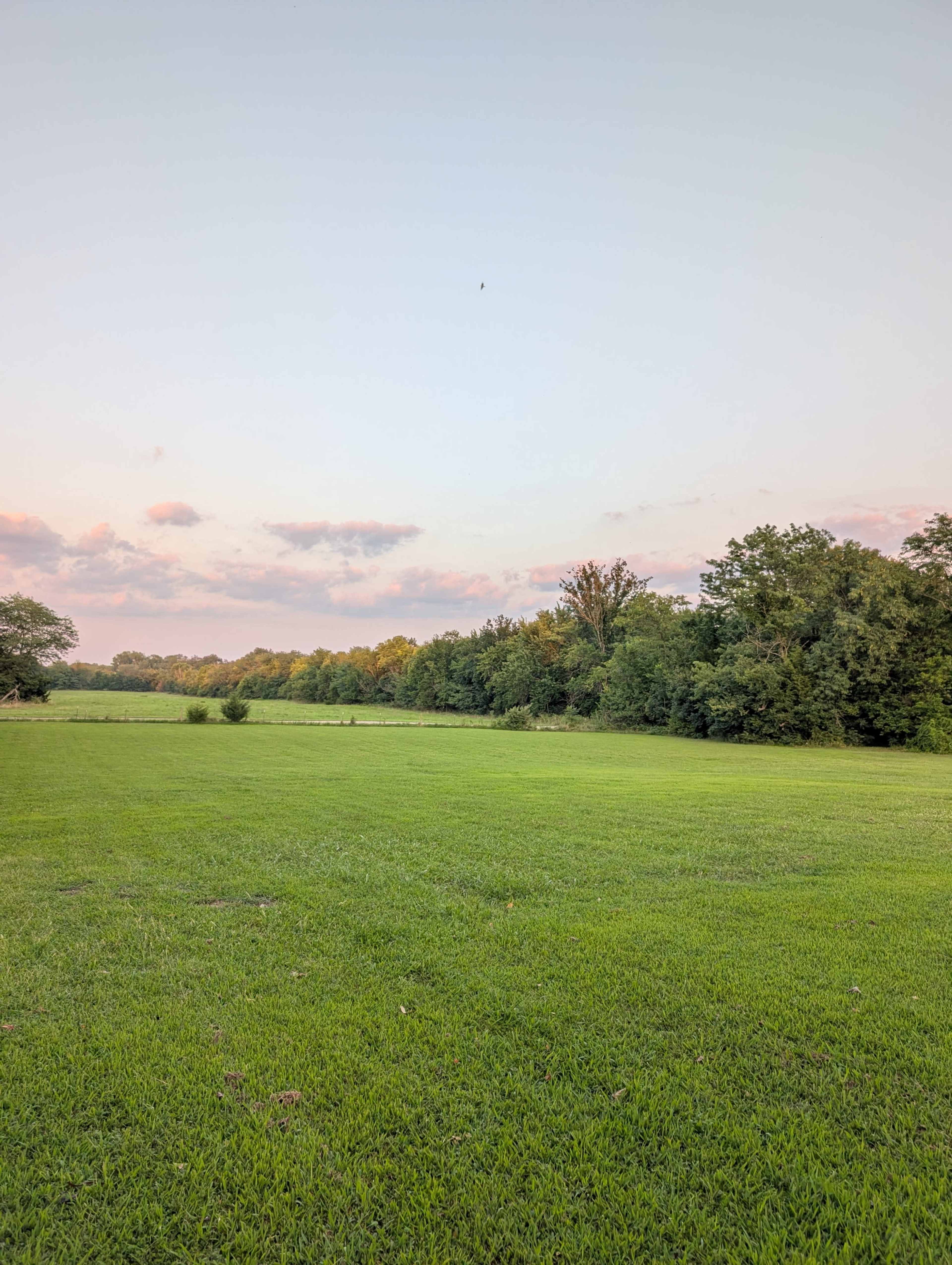 A grassy field stretches towards a tree line under a pastel sky at dusk.