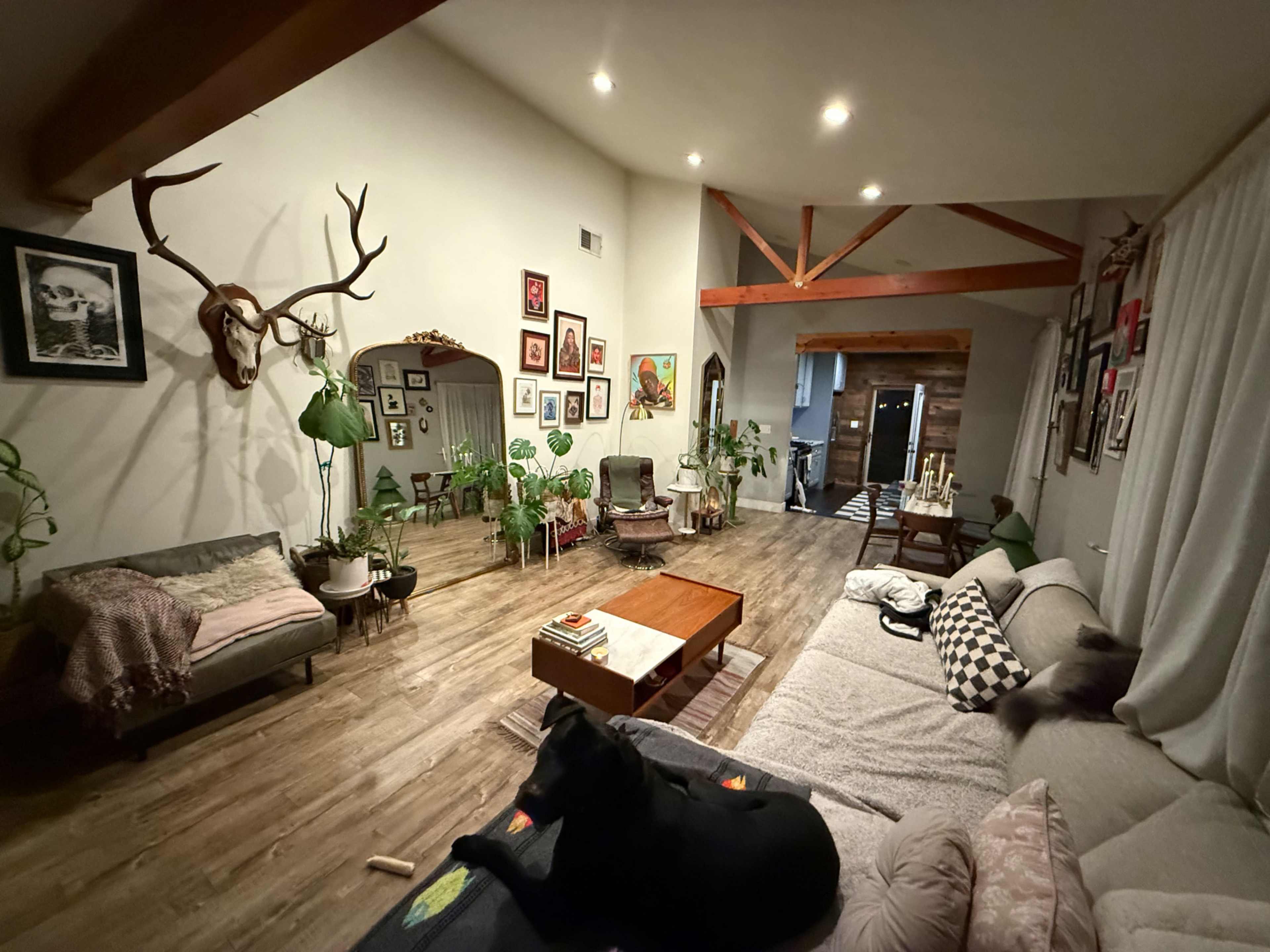 The image shows a cozy living room with wooden floors, high ceilings supported by beams, various plants, and a mix of framed artwork on the walls, featuring a seating area with a couch and a dog lying on a blanket.