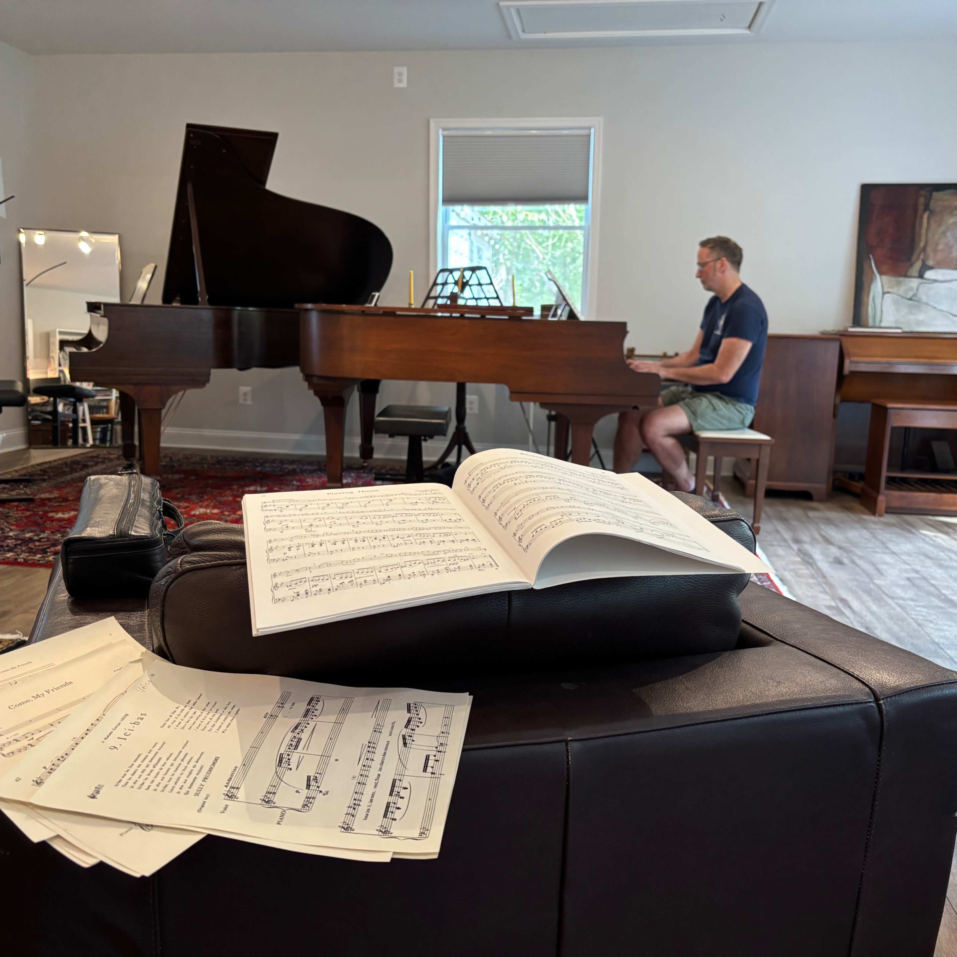 Piano House at Dove’s Landing Image in Buckhall, Manassas, VA