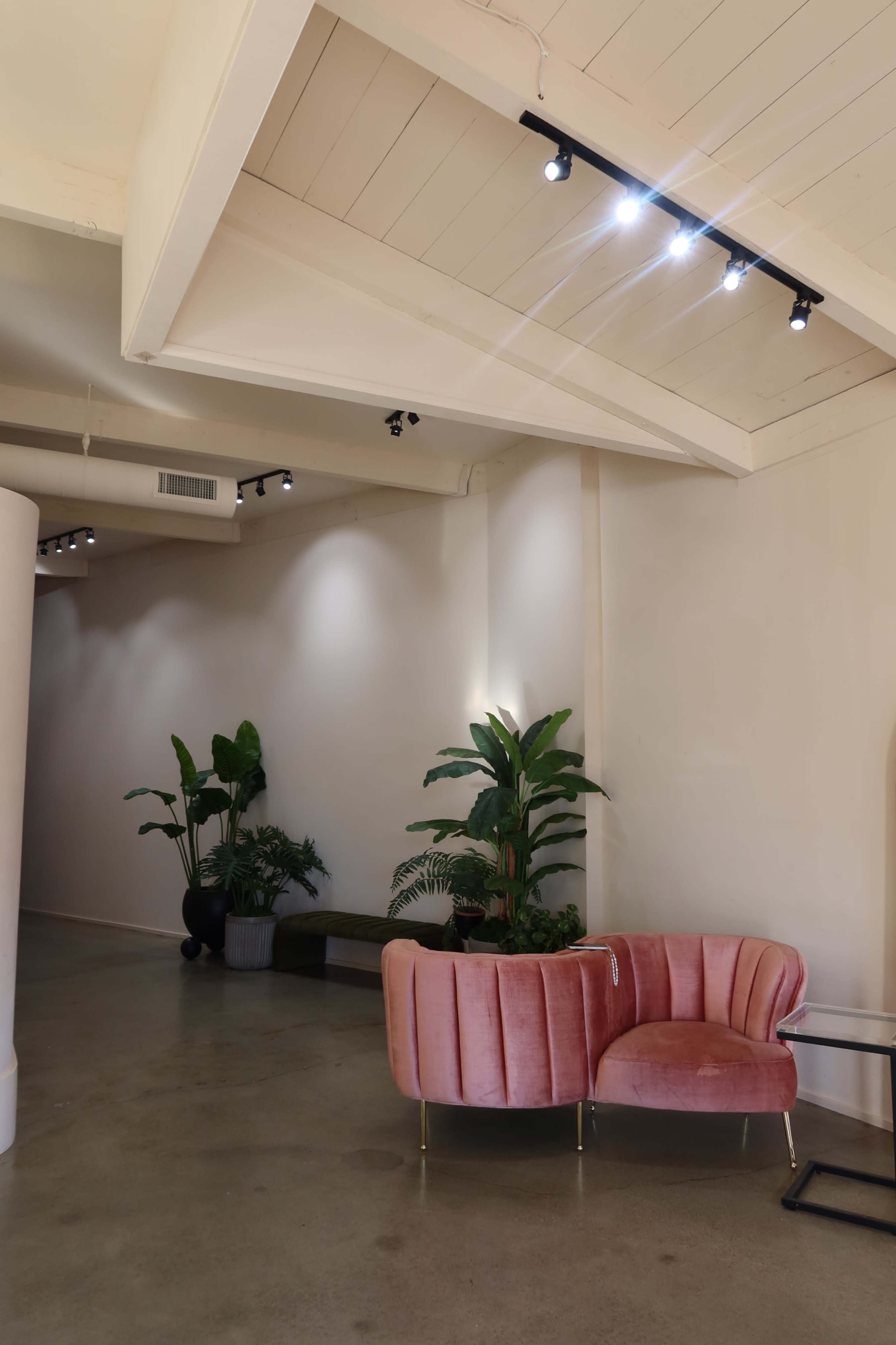 The image shows a modern interior space featuring a pink velvet chair and several green plants placed in decorative pots.