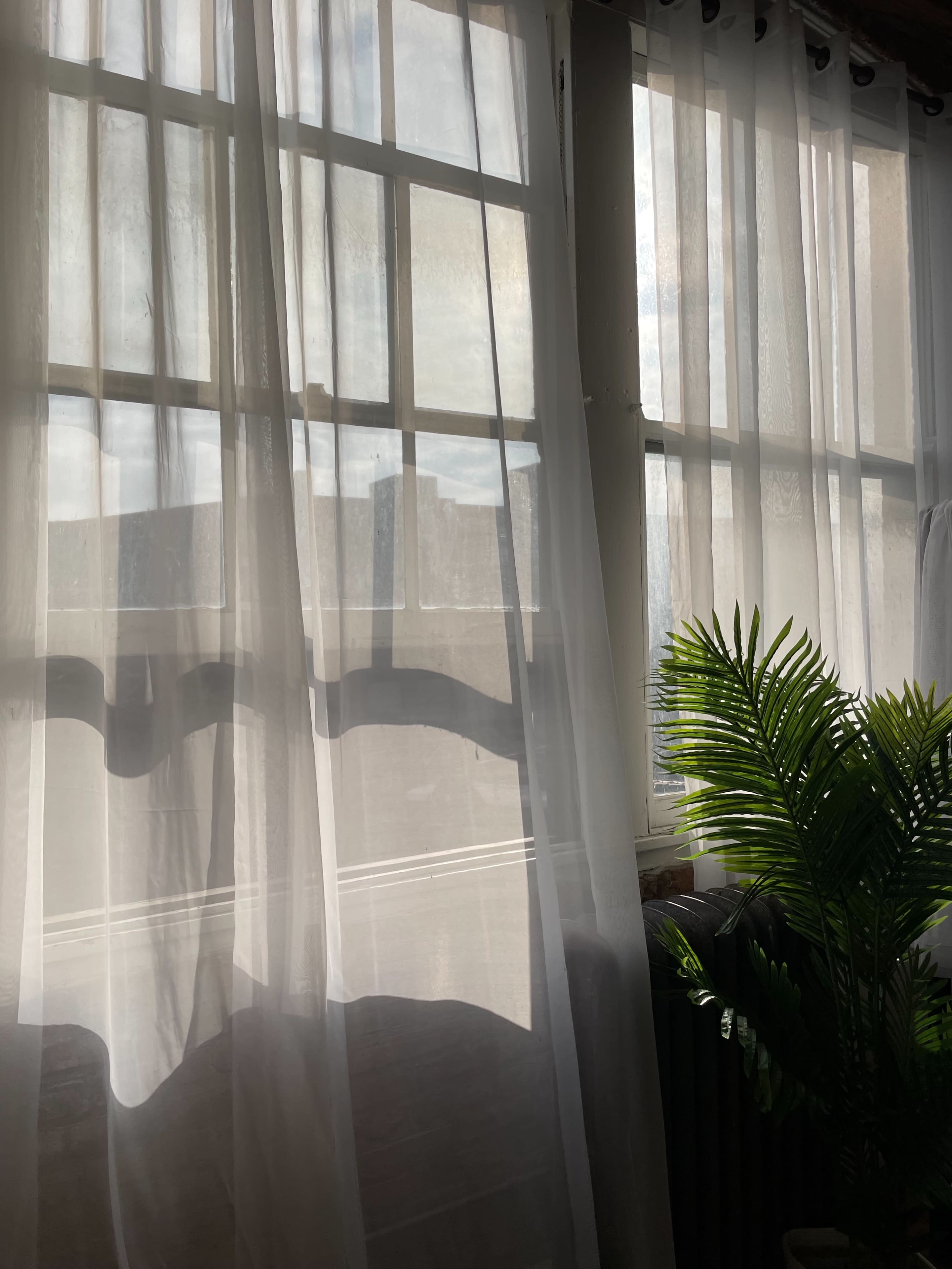 Sheer curtains filter sunlight through a window, with a potted plant visible in the foreground.