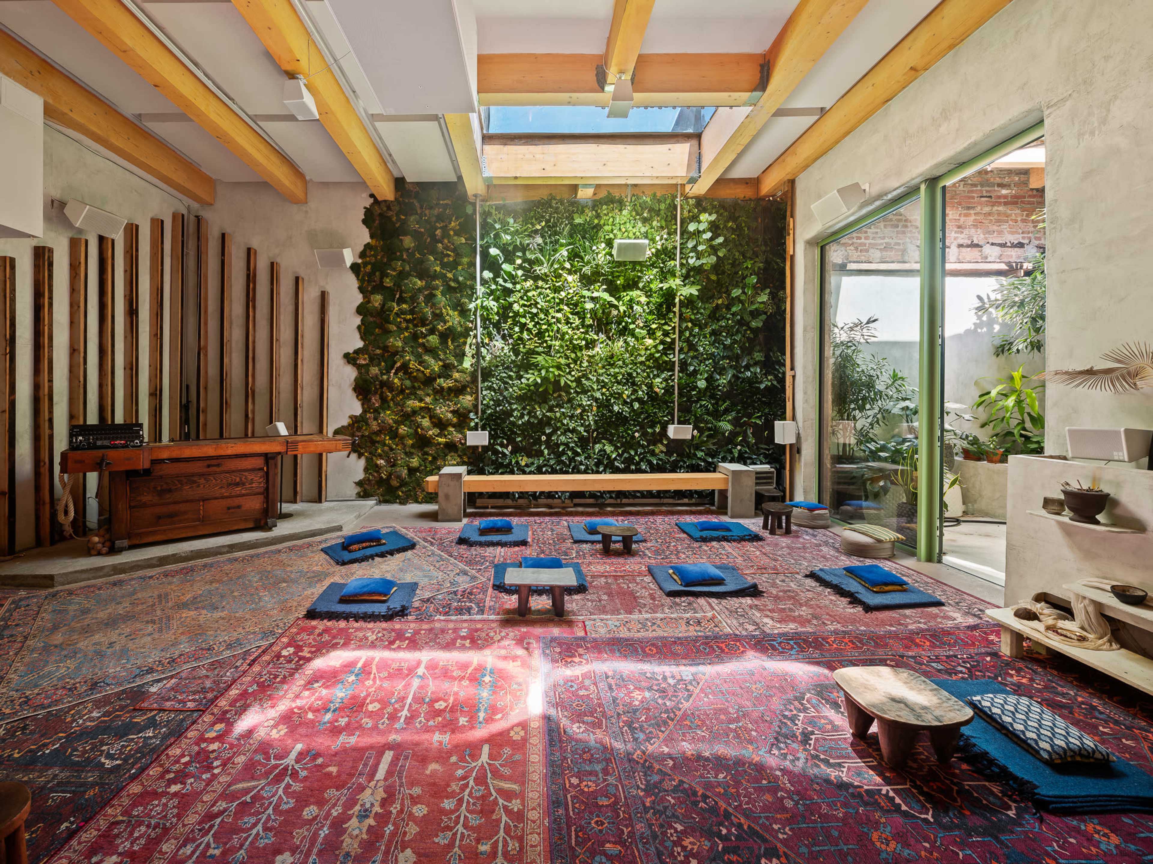 The room features a large area rug, low seating arrangements, and a vertical garden, with natural light streaming through a skylight and large glass doors.