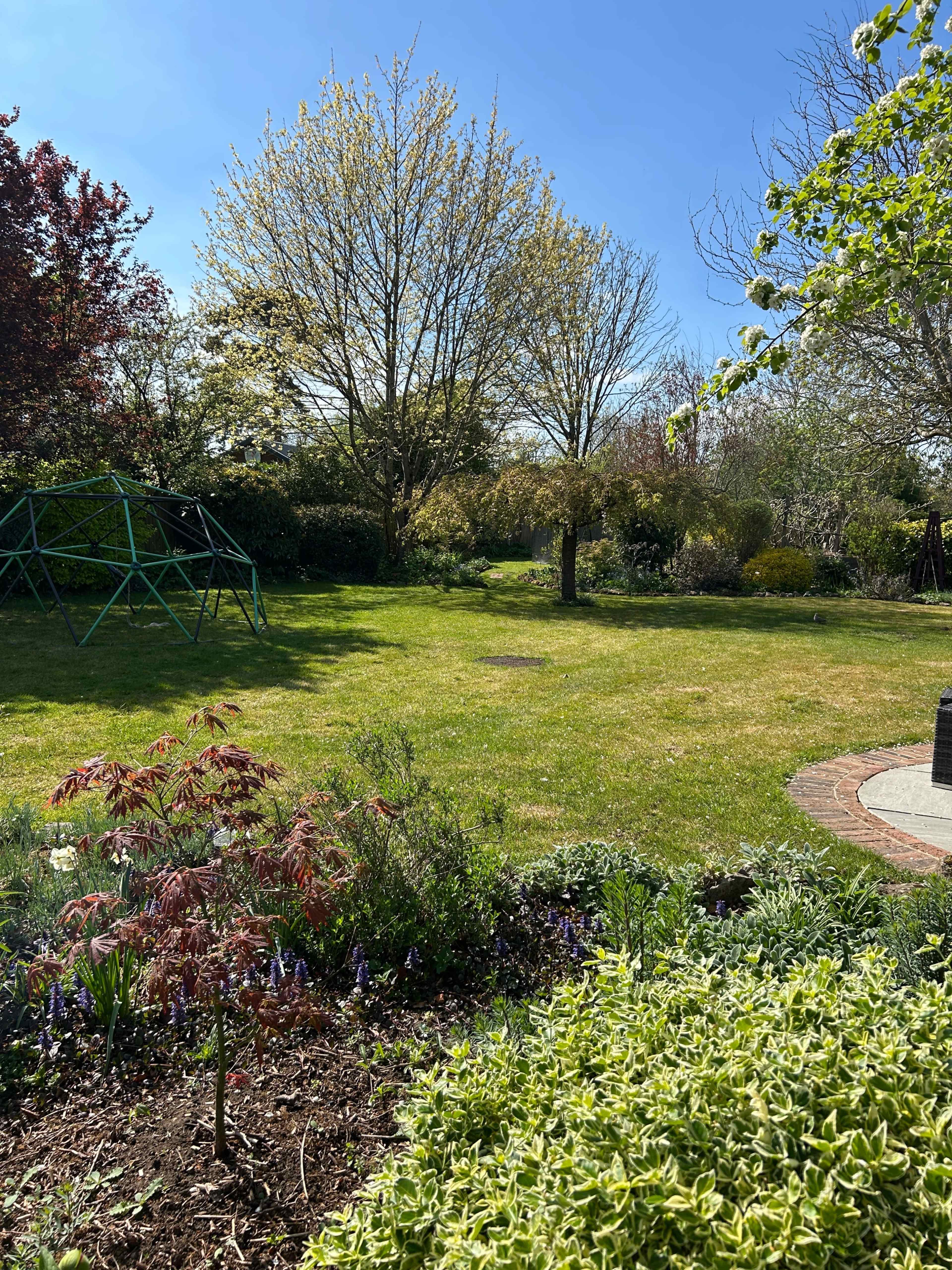 The image shows a spacious garden with green grass, trees, and colorful plants under a clear blue sky.