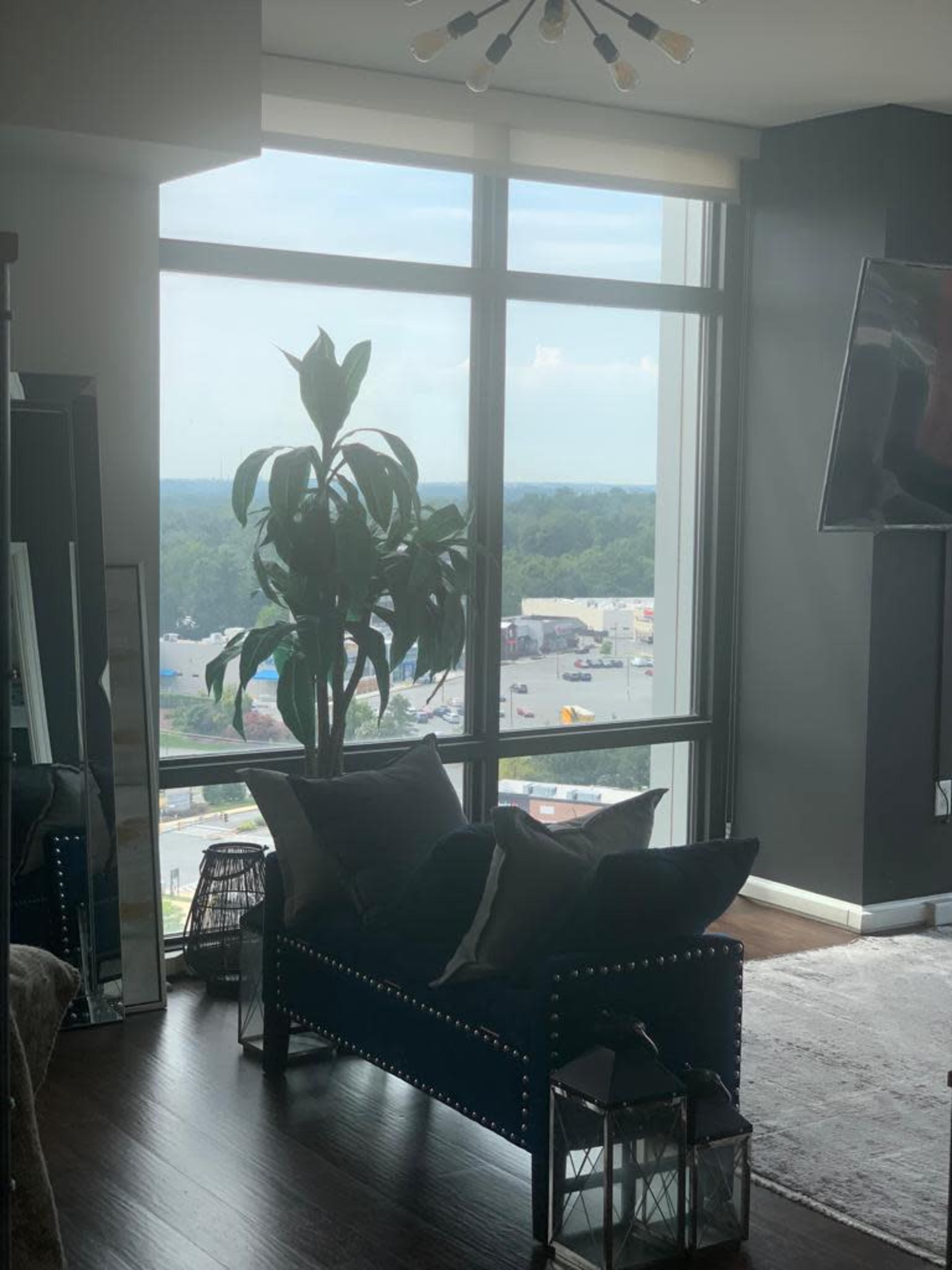 A stylish living room features a plant next to a blue couch and large windows overlooking a commercial area.
