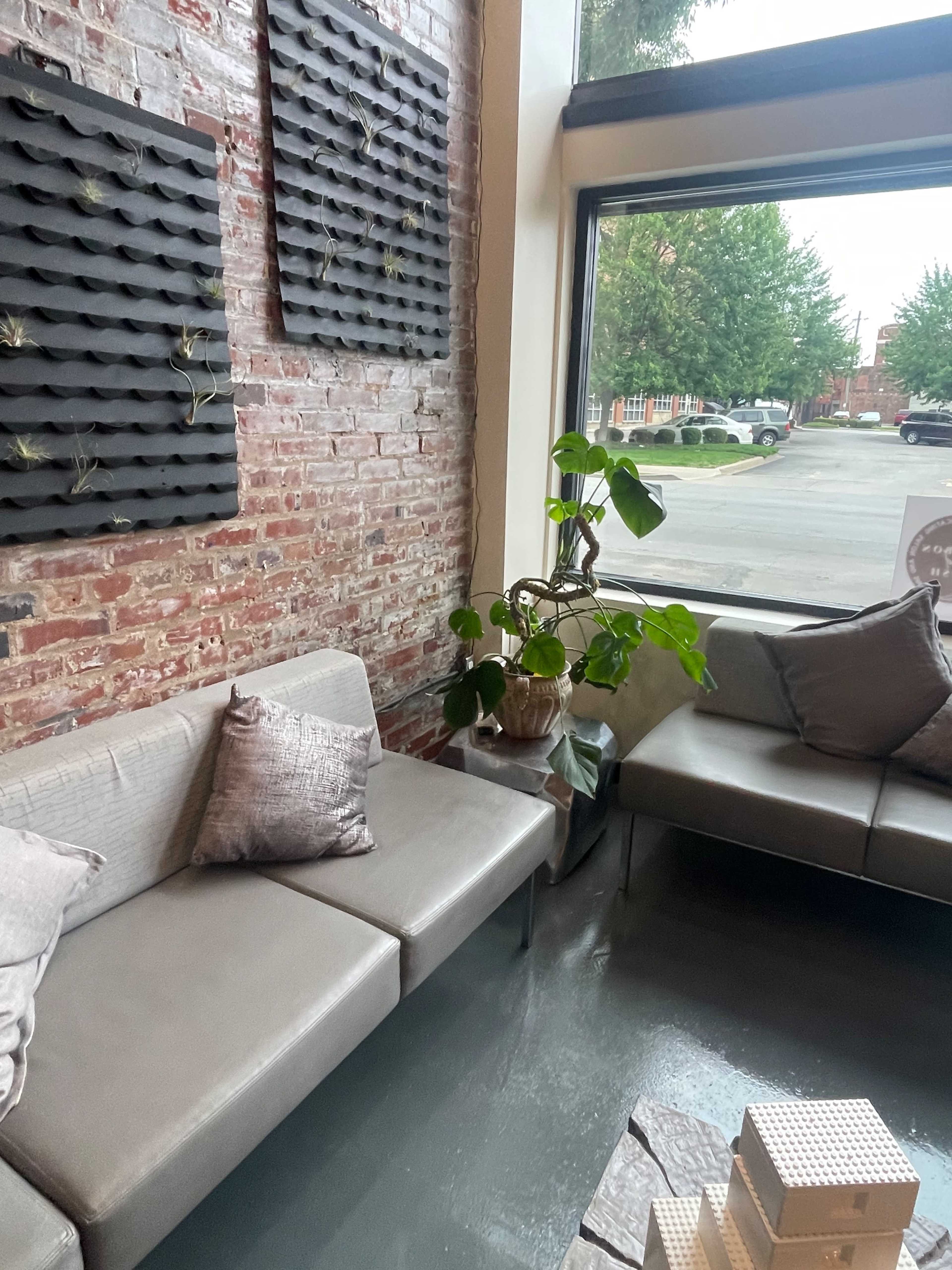 A minimalist seating area with gray couches, decorative cushions, and a green plant next to a large window overlooking a street.