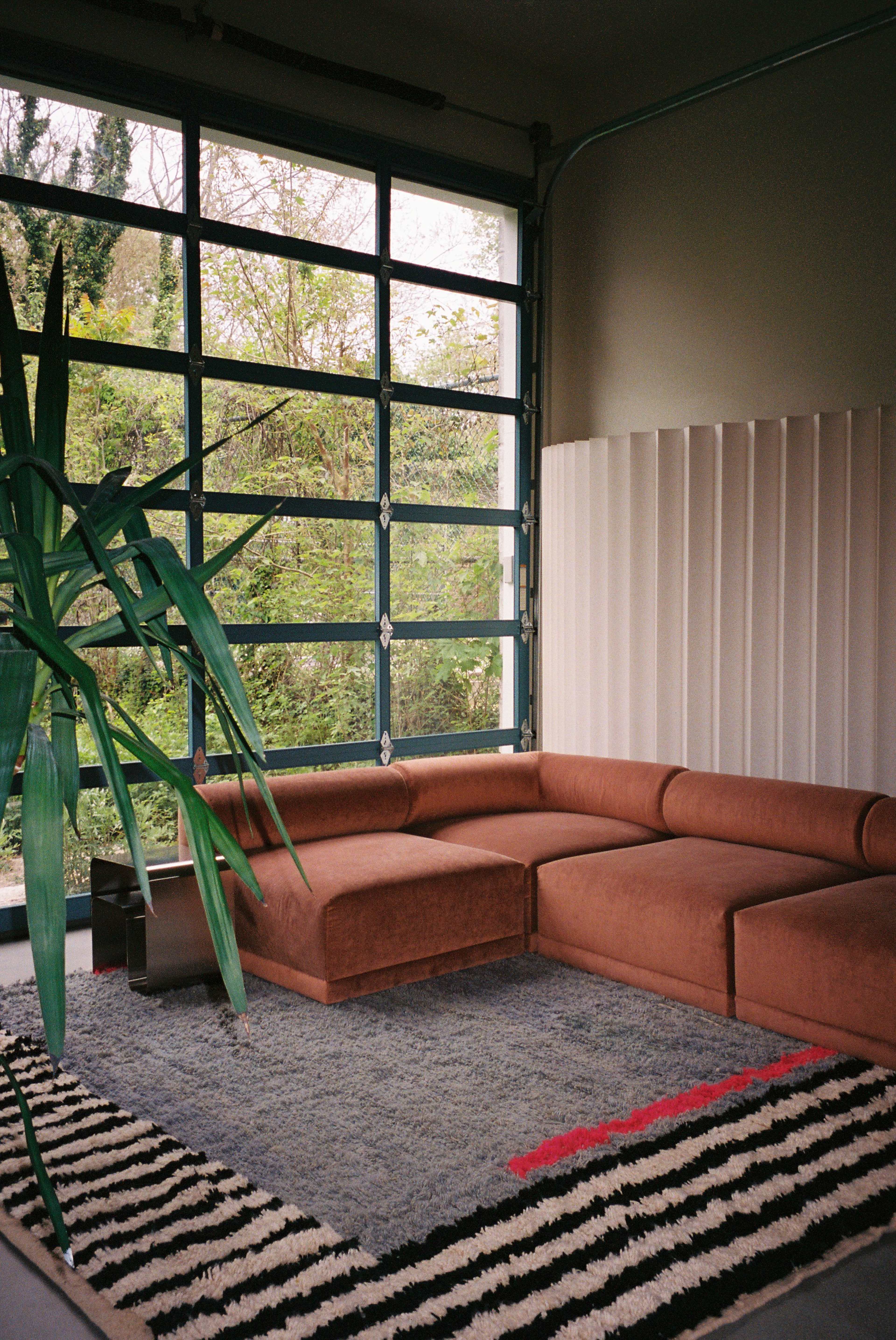 The image shows a modern living space featuring a brown sectional couch, a large indoor plant, and a patterned rug, with large windows that provide a view of greenery outside.