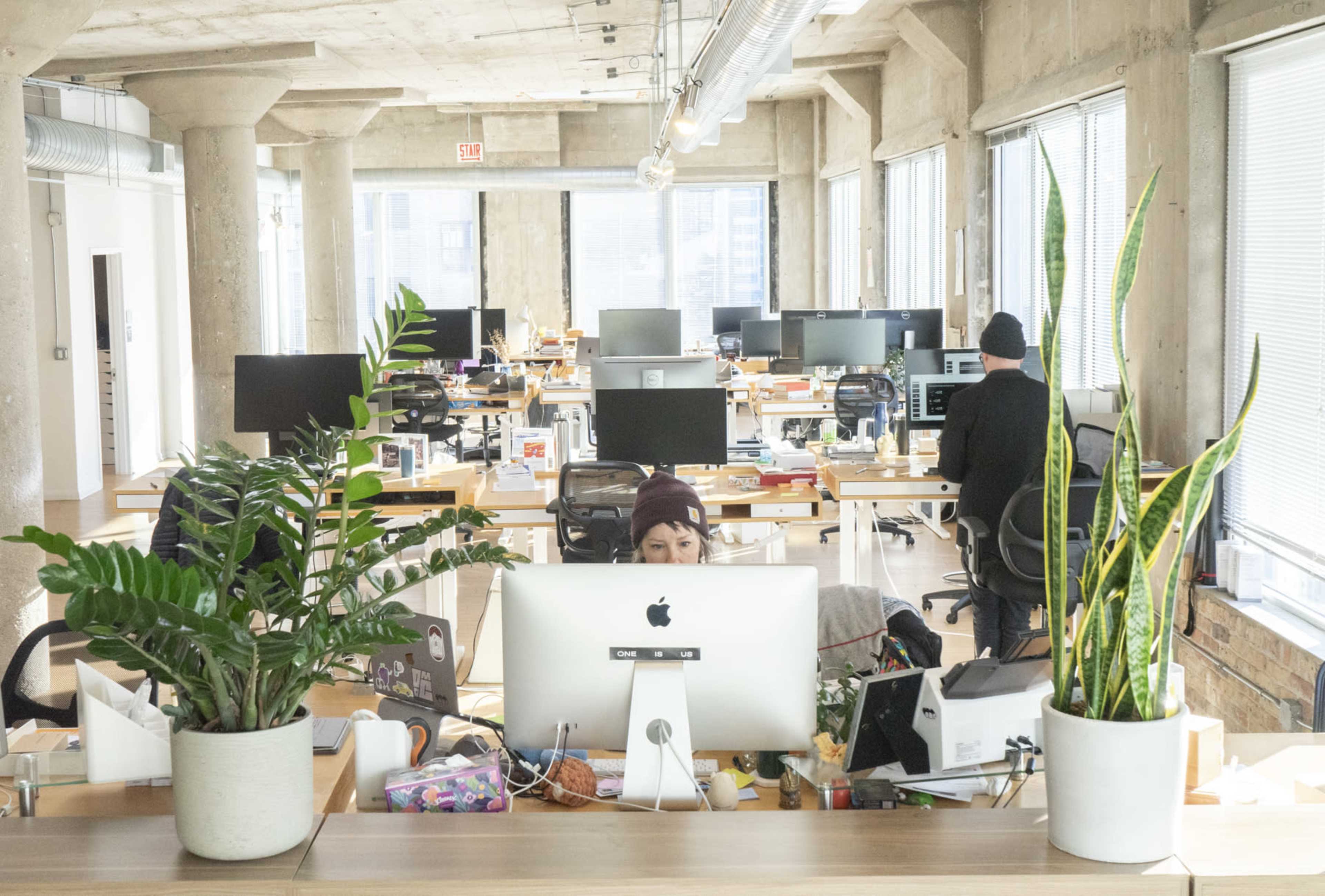 The image shows a modern office space with several desks, computers, and large windows, along with plants in foreground planters.