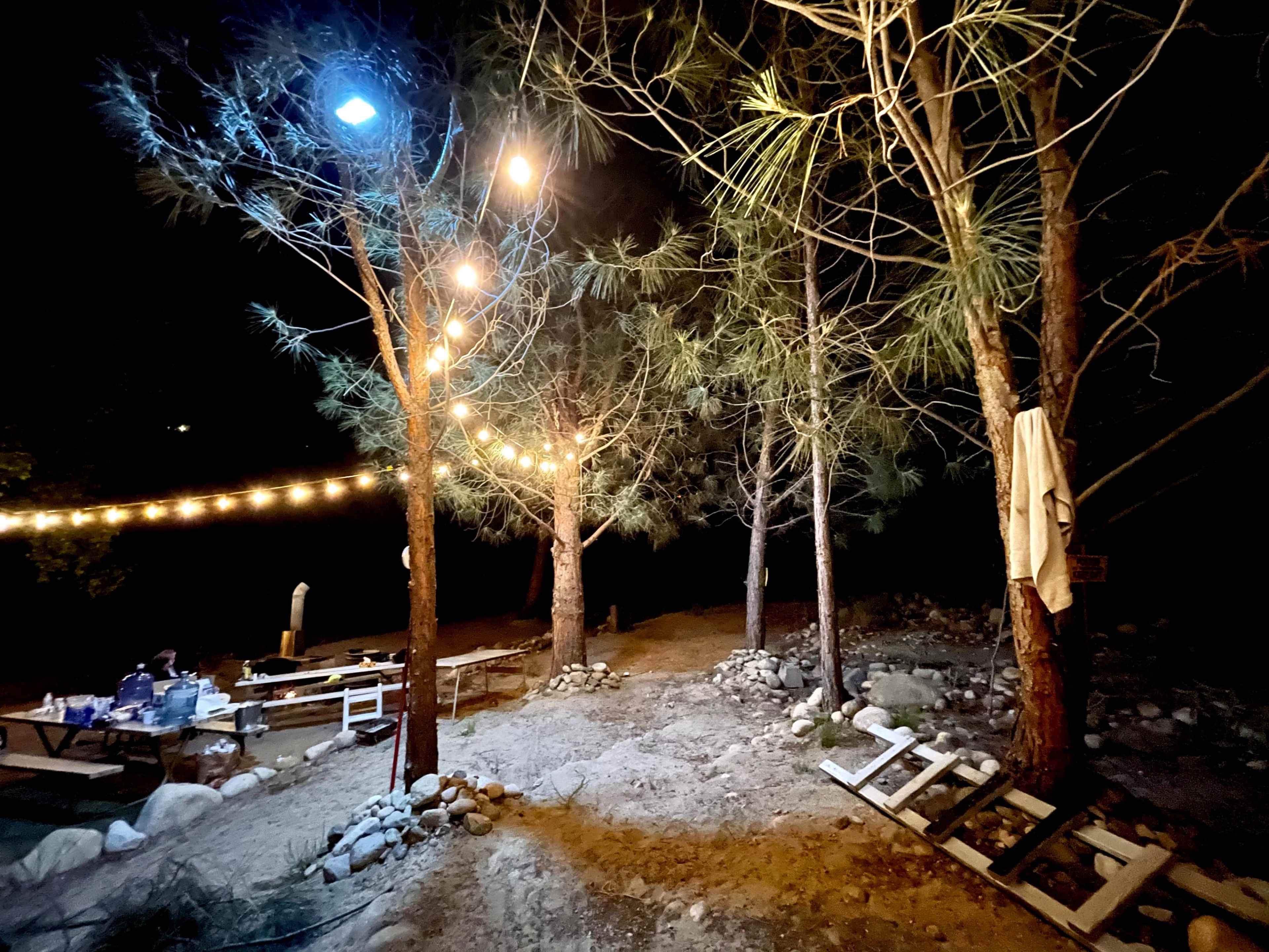 A wooded campsite at night, illuminated by string lights hanging between pine trees, with a path leading to a seating area and scattered rocks on the ground.