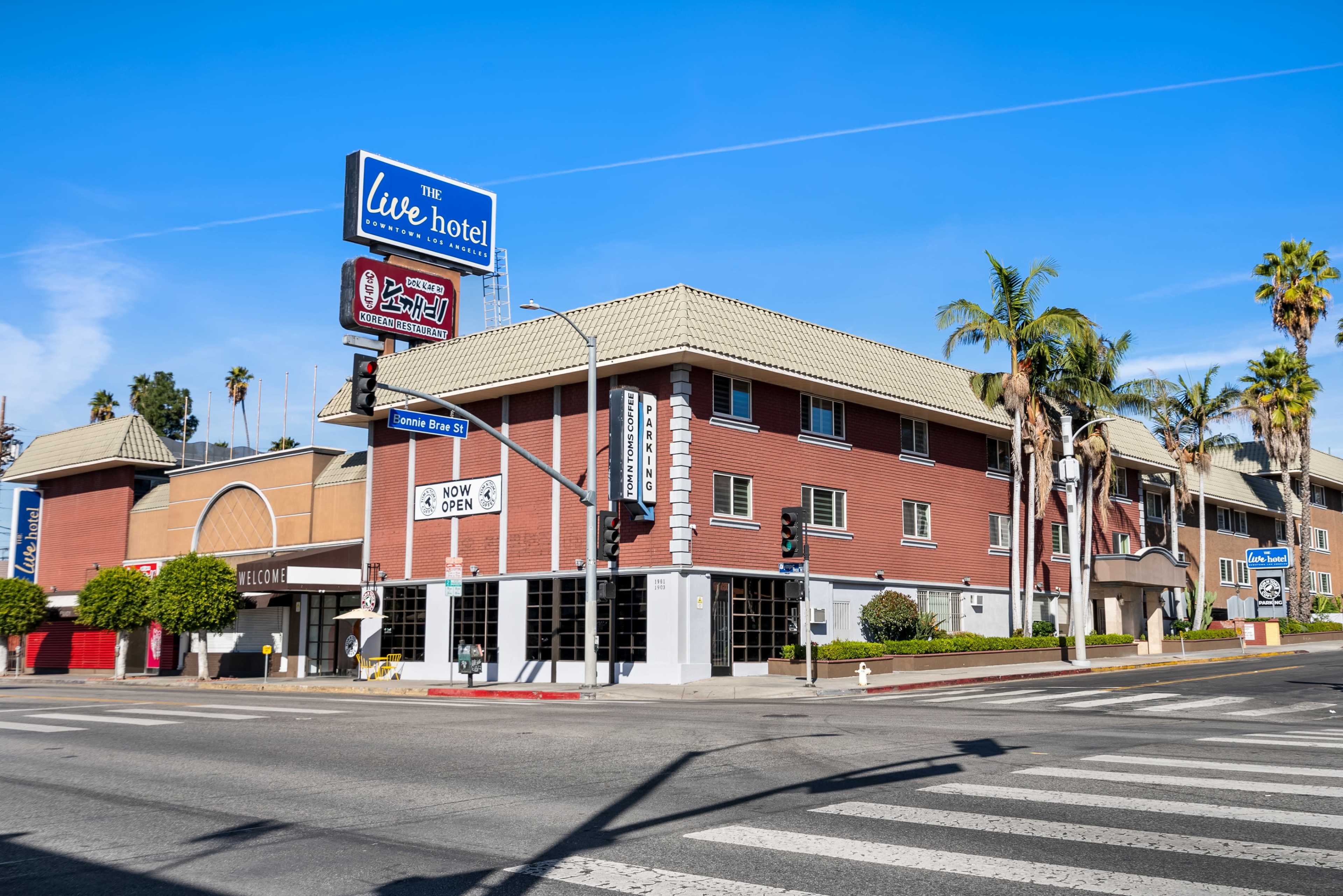 A brick building with a sign for "The Live Hotel" at a street corner, surrounded by palm trees and a clear sky.