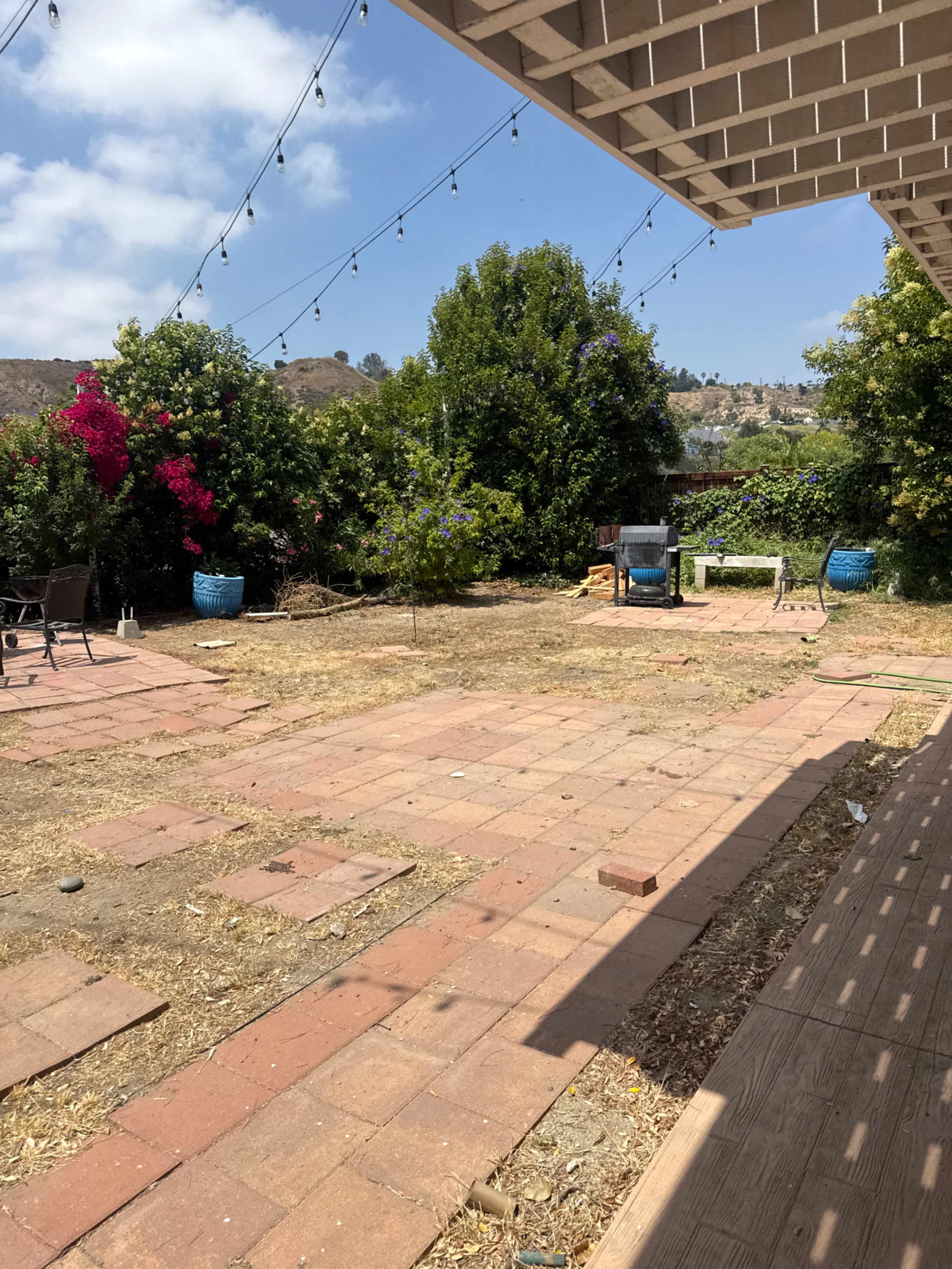 The image shows a partially landscaped backyard with brick paths, scattered vegetation, and string lights overhead.
