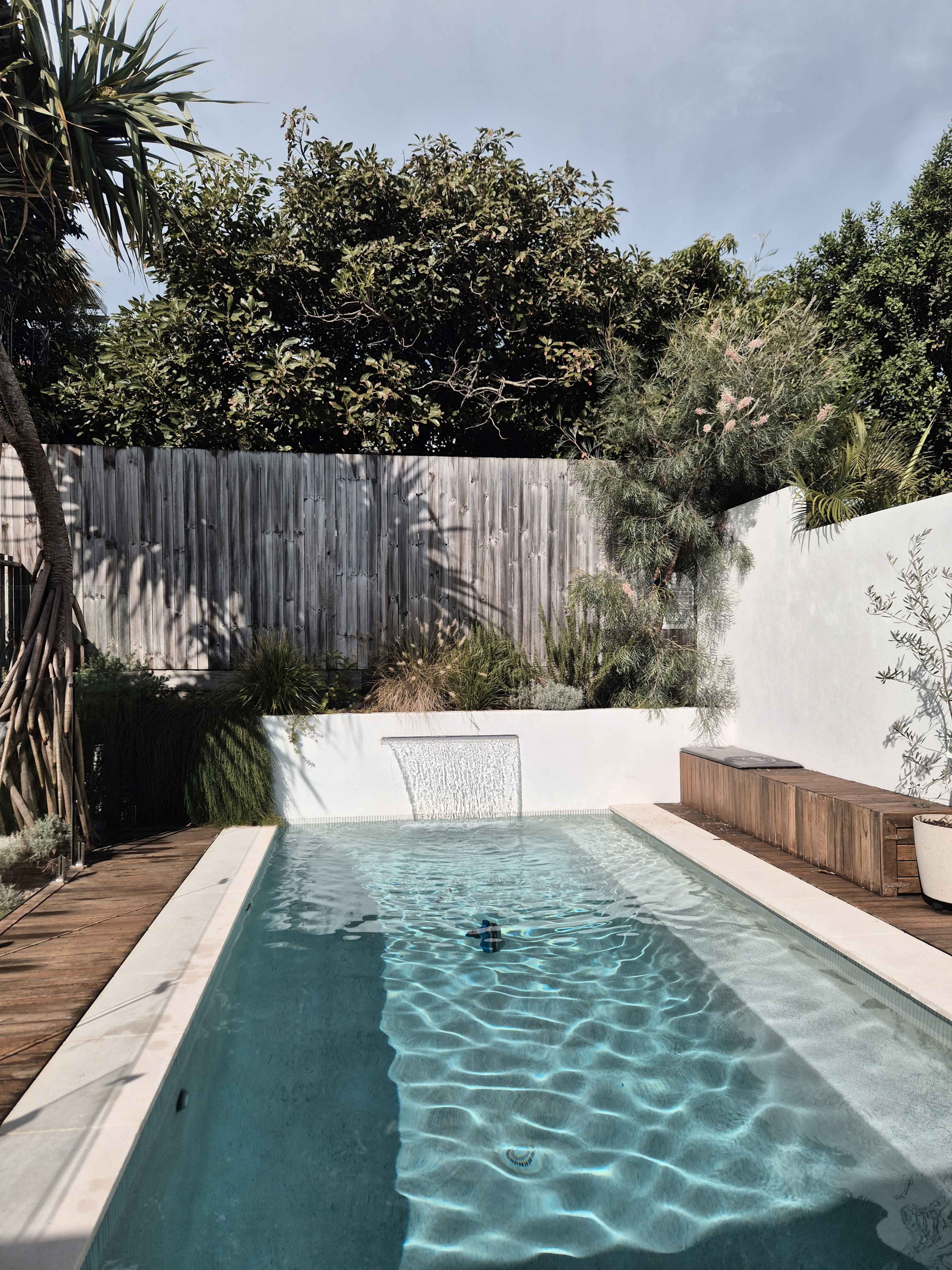 The image shows a modern swimming pool surrounded by lush greenery and a wooden fence in a backyard setting.