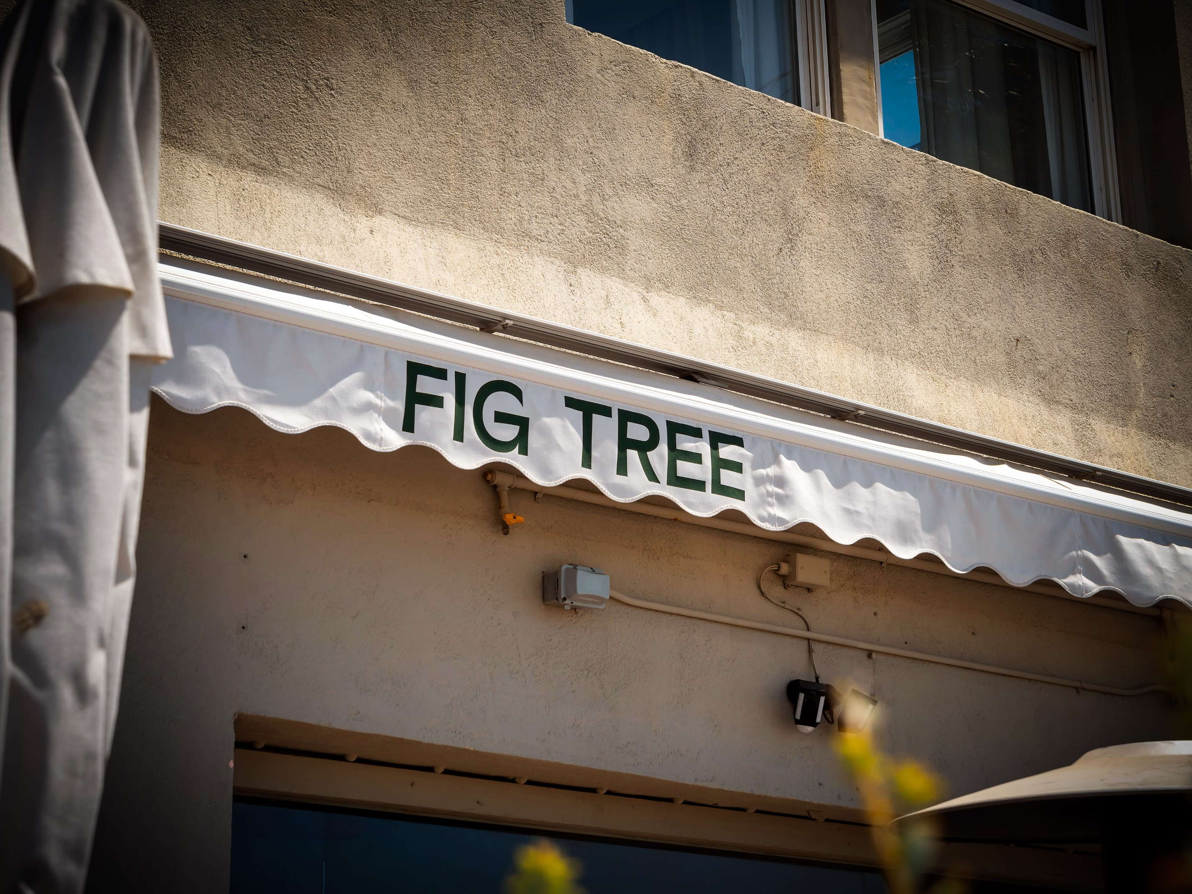 VIBRANT SEASIDE BISTRO Image in Venice, Venice, CA