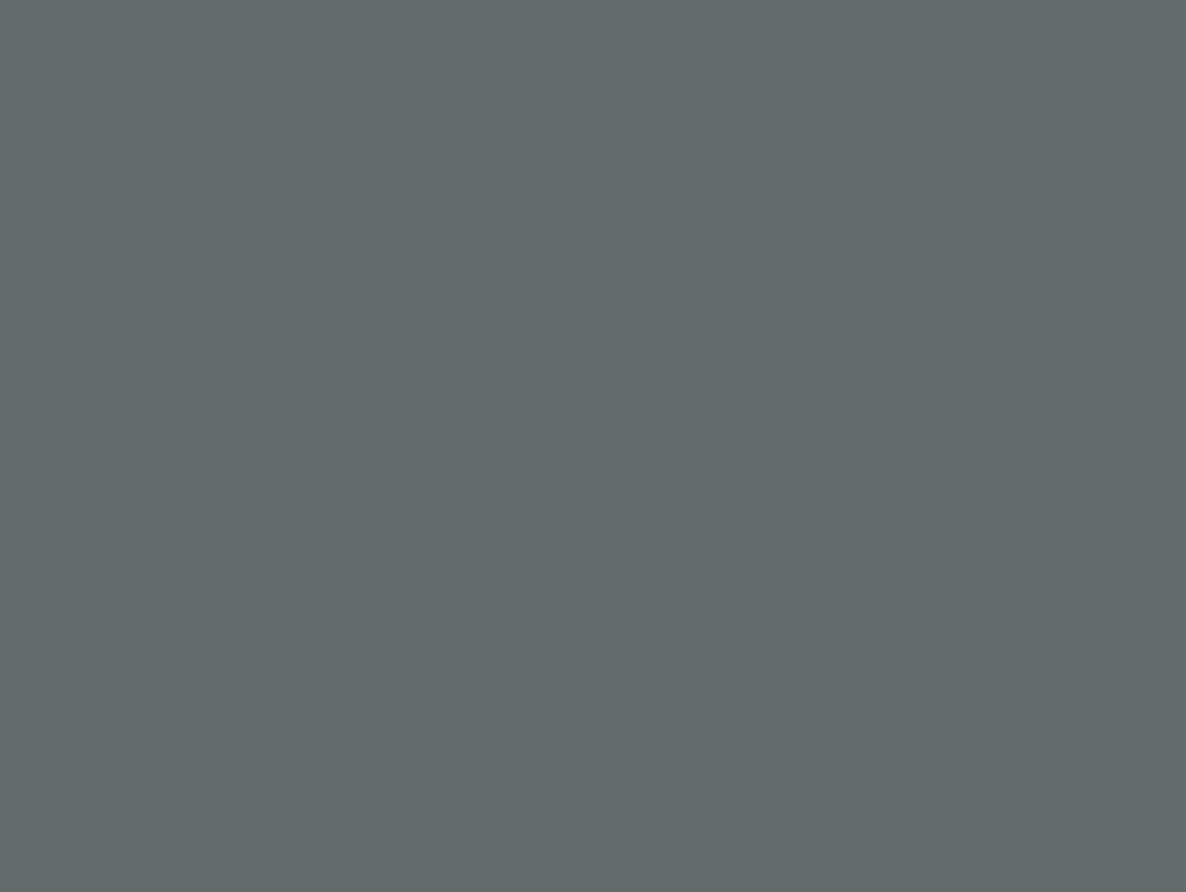 Charcoal Seamless Backdrop (w:107″ Full Sweep)