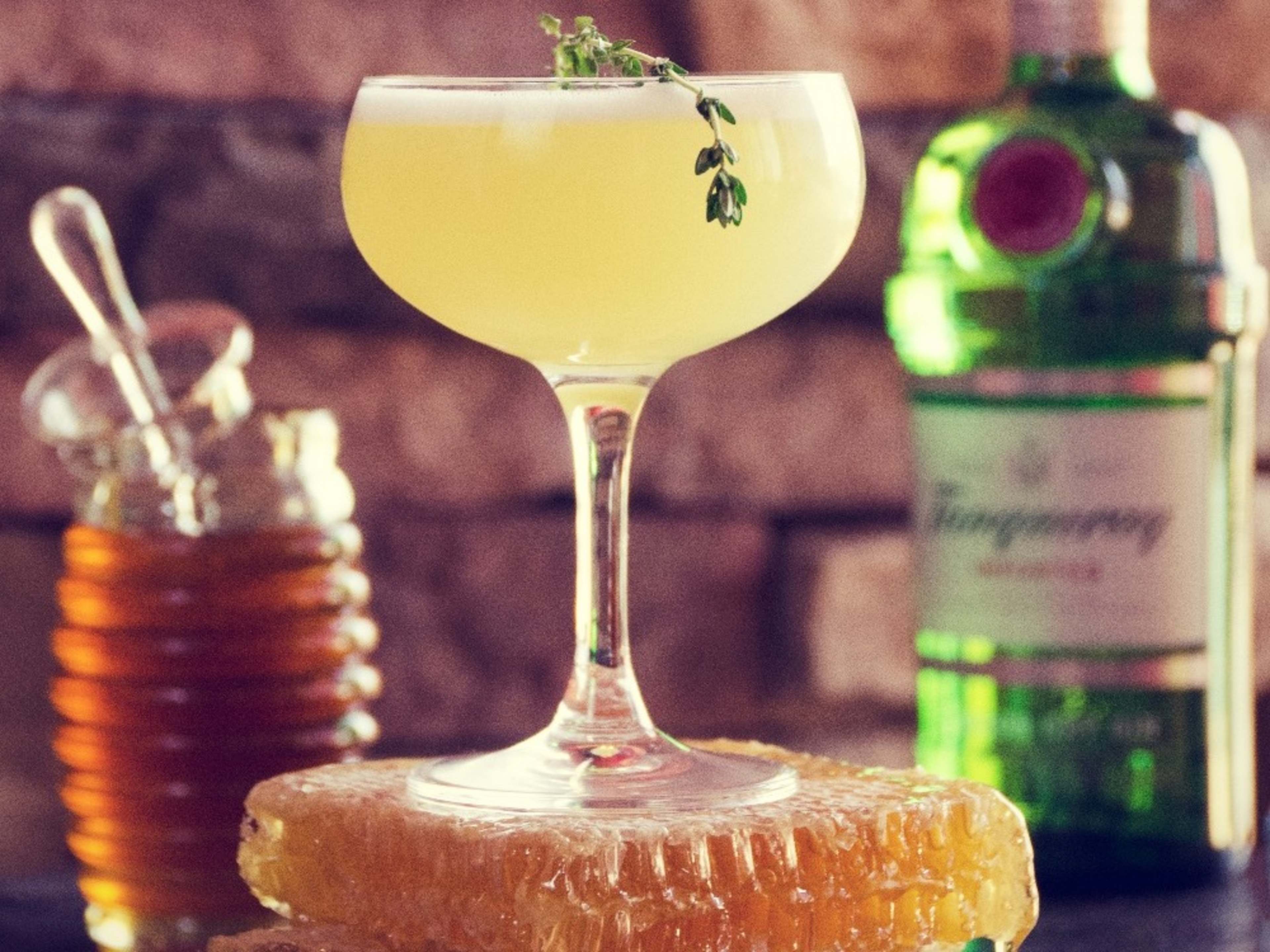 In House Photographer