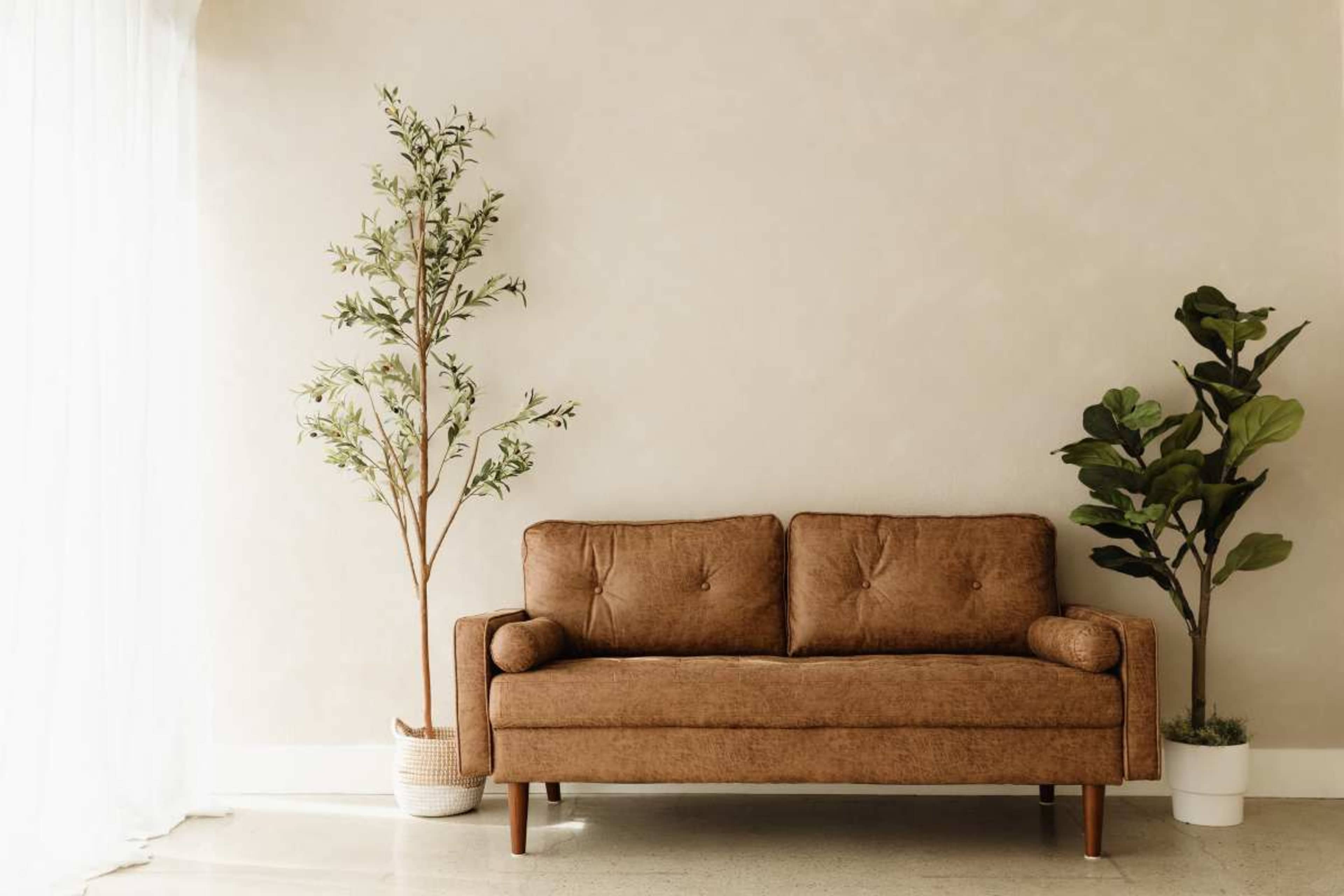 A brown sofa is positioned in a minimalist room with two potted plants, one on each side, against a light-colored wall.