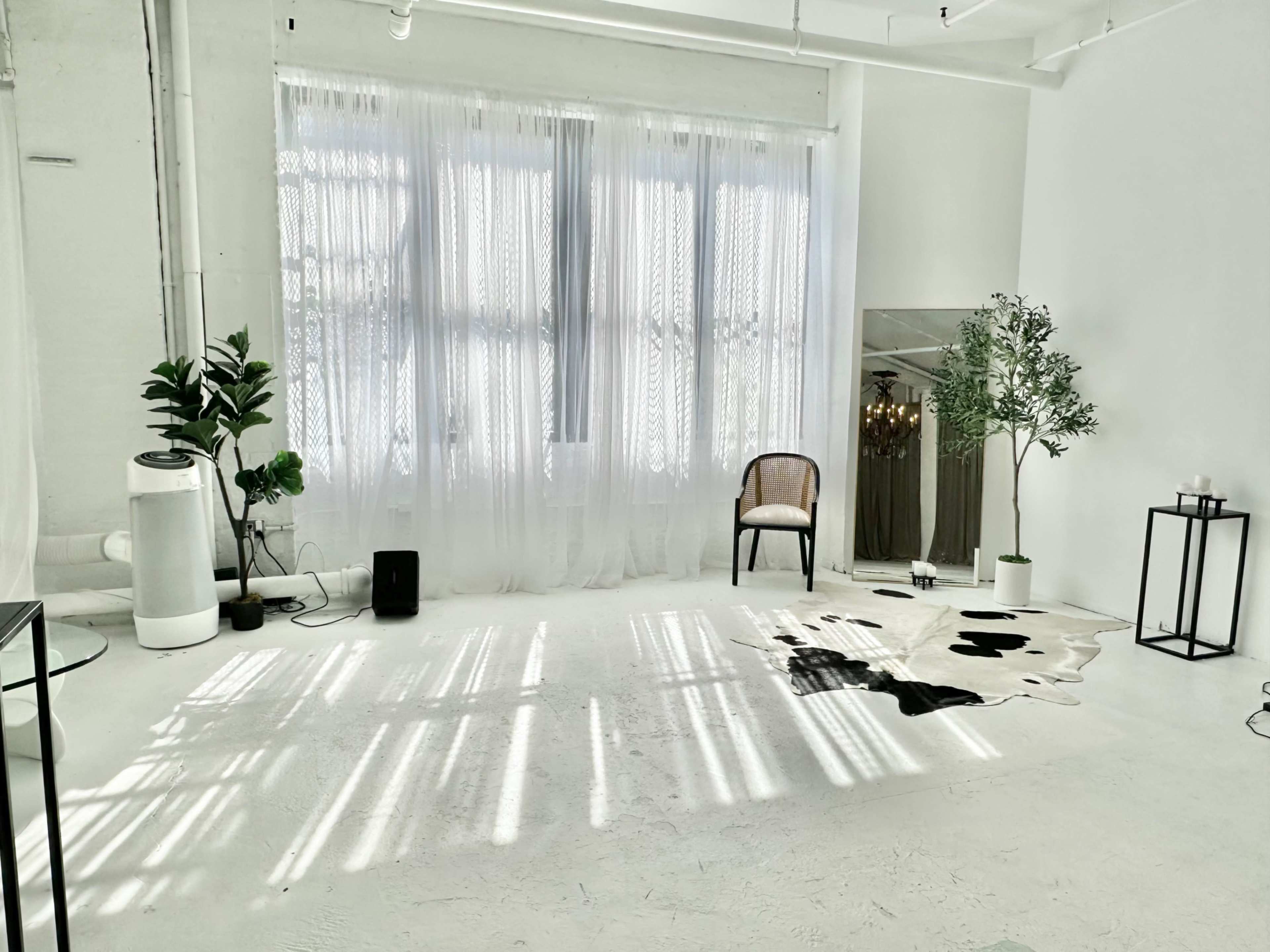 A bright, minimalistic room with large windows, sheer curtains, a black and white cowhide rug, a chair, and a few plants.