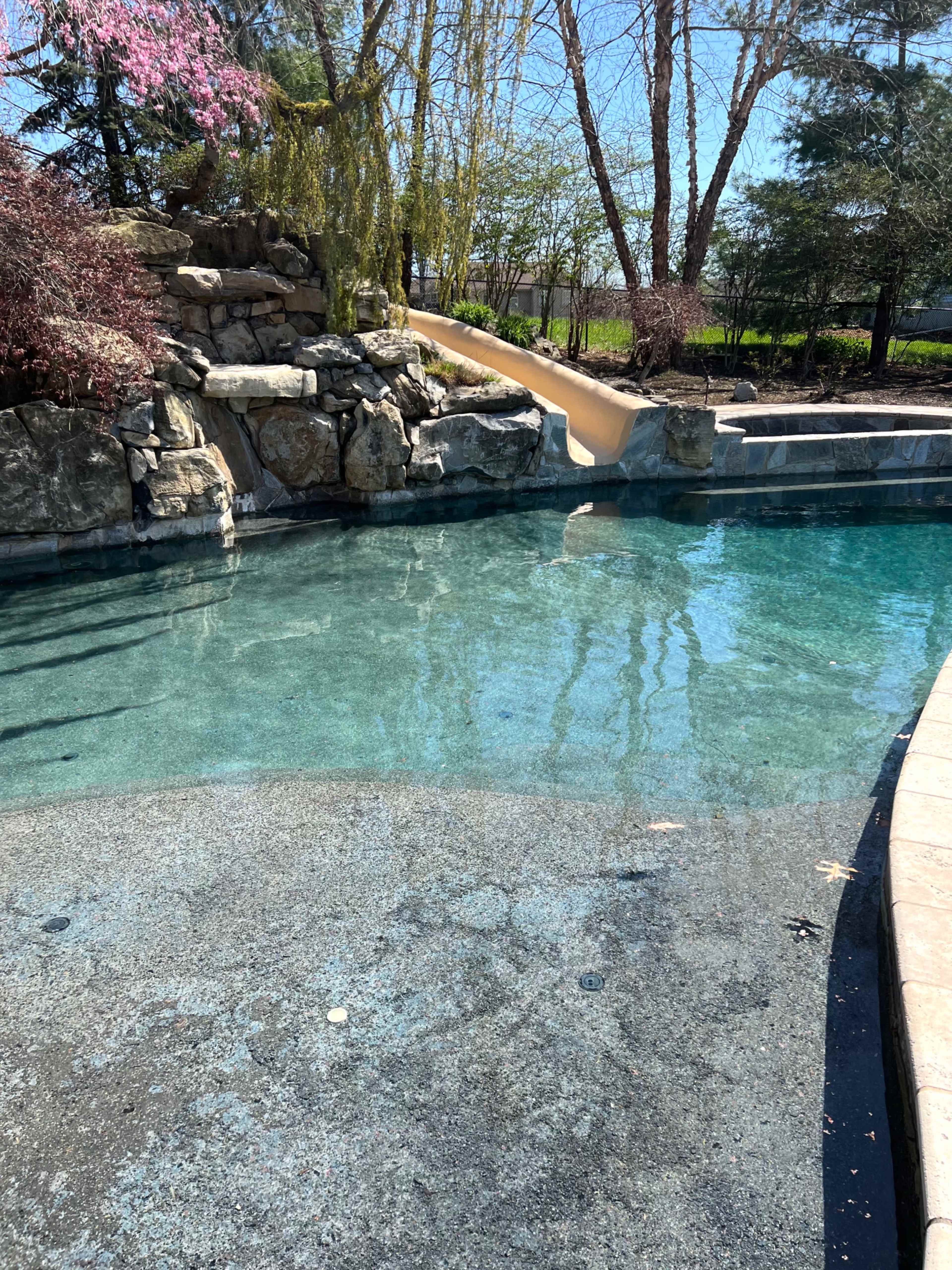 A clear swimming pool featuring a stone slide and surrounding landscaped greenery.