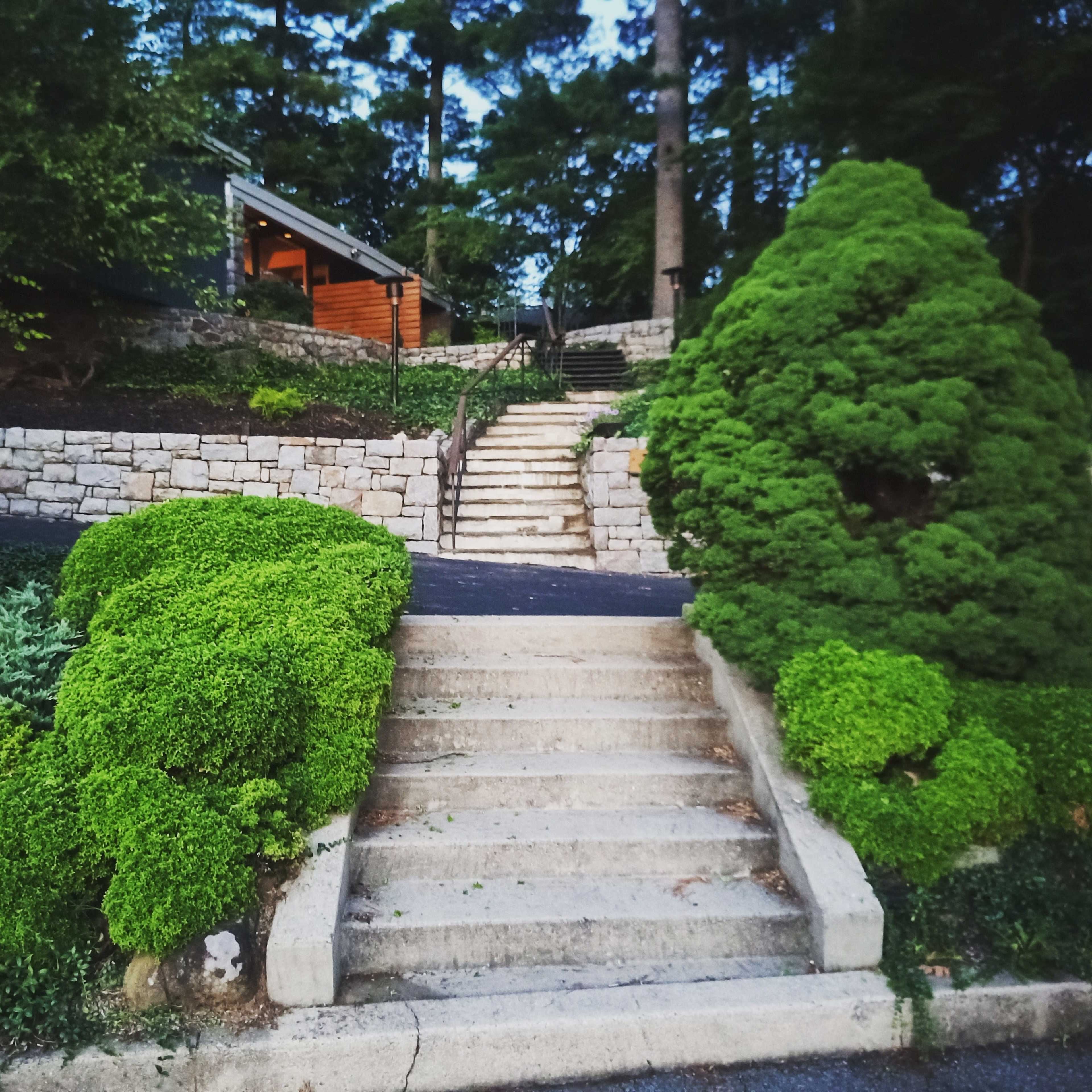 A set of stone steps leading up a hill, flanked by neatly trimmed green bushes on either side.