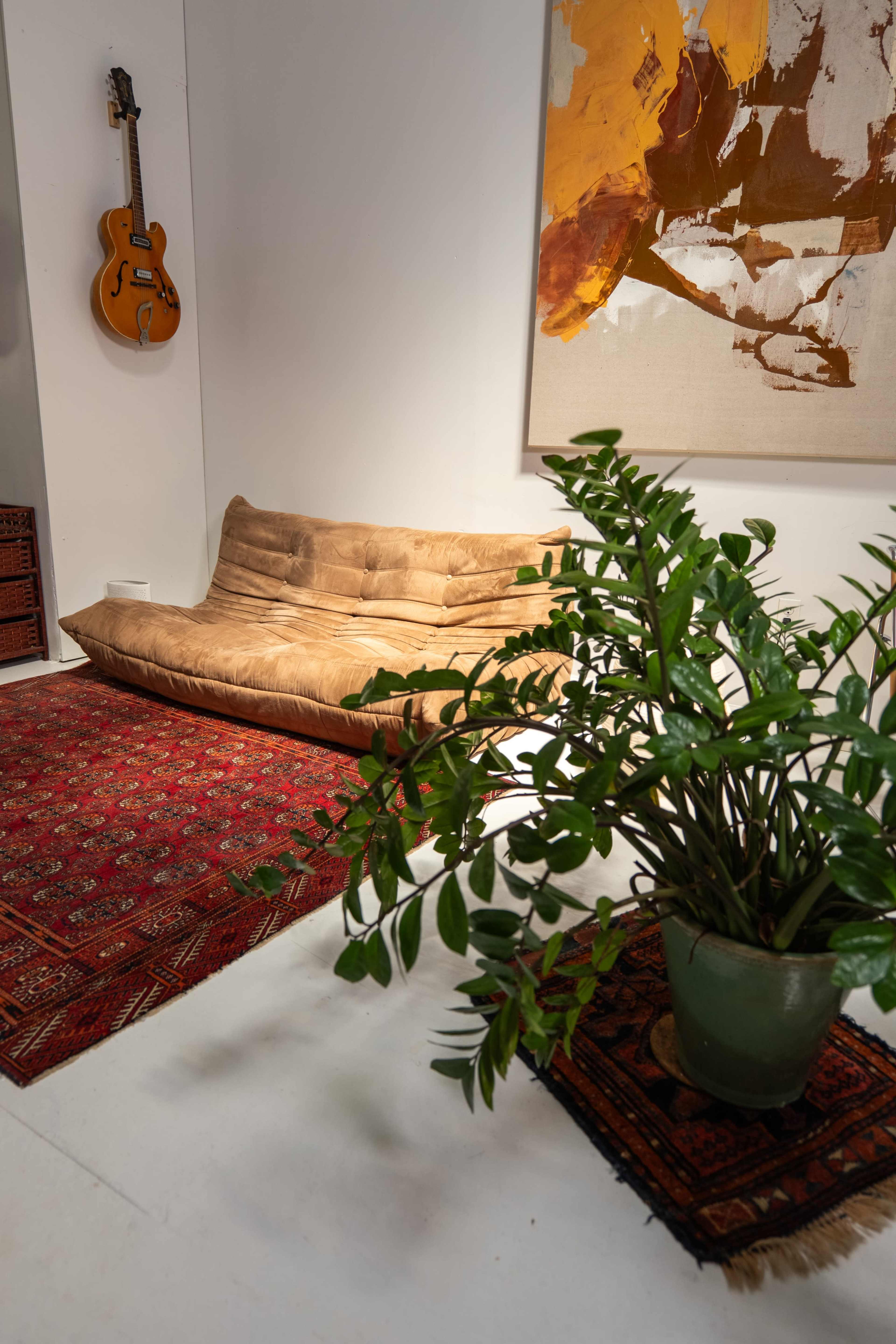 The image shows a living space featuring a beige sofa, a decorative plant in a pot, an ornate rug, and a guitar hanging on the wall beside a large abstract painting.