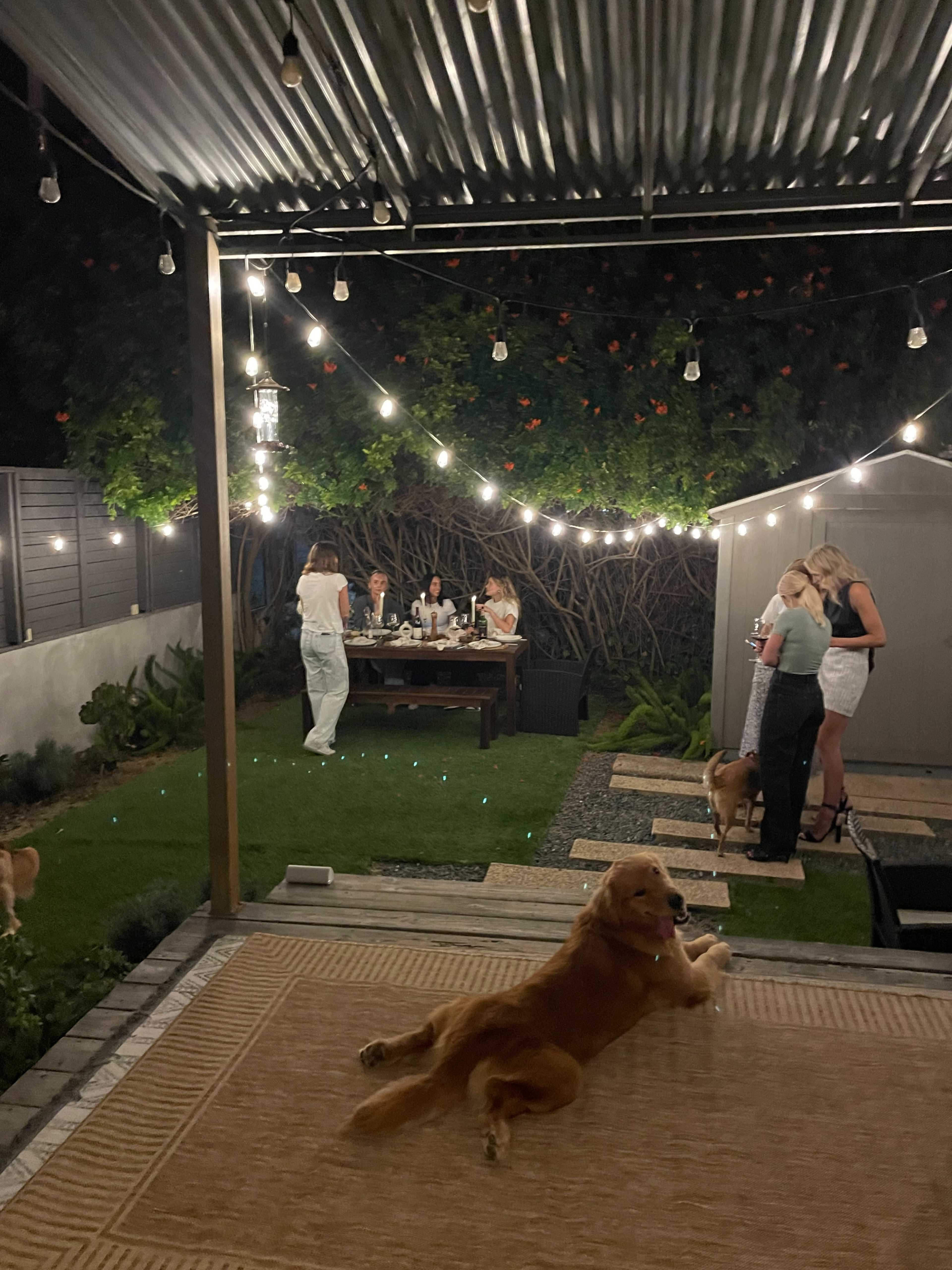 A group of people dine at a wooden table under string lights in a backyard, while a golden retriever lies on the ground nearby.