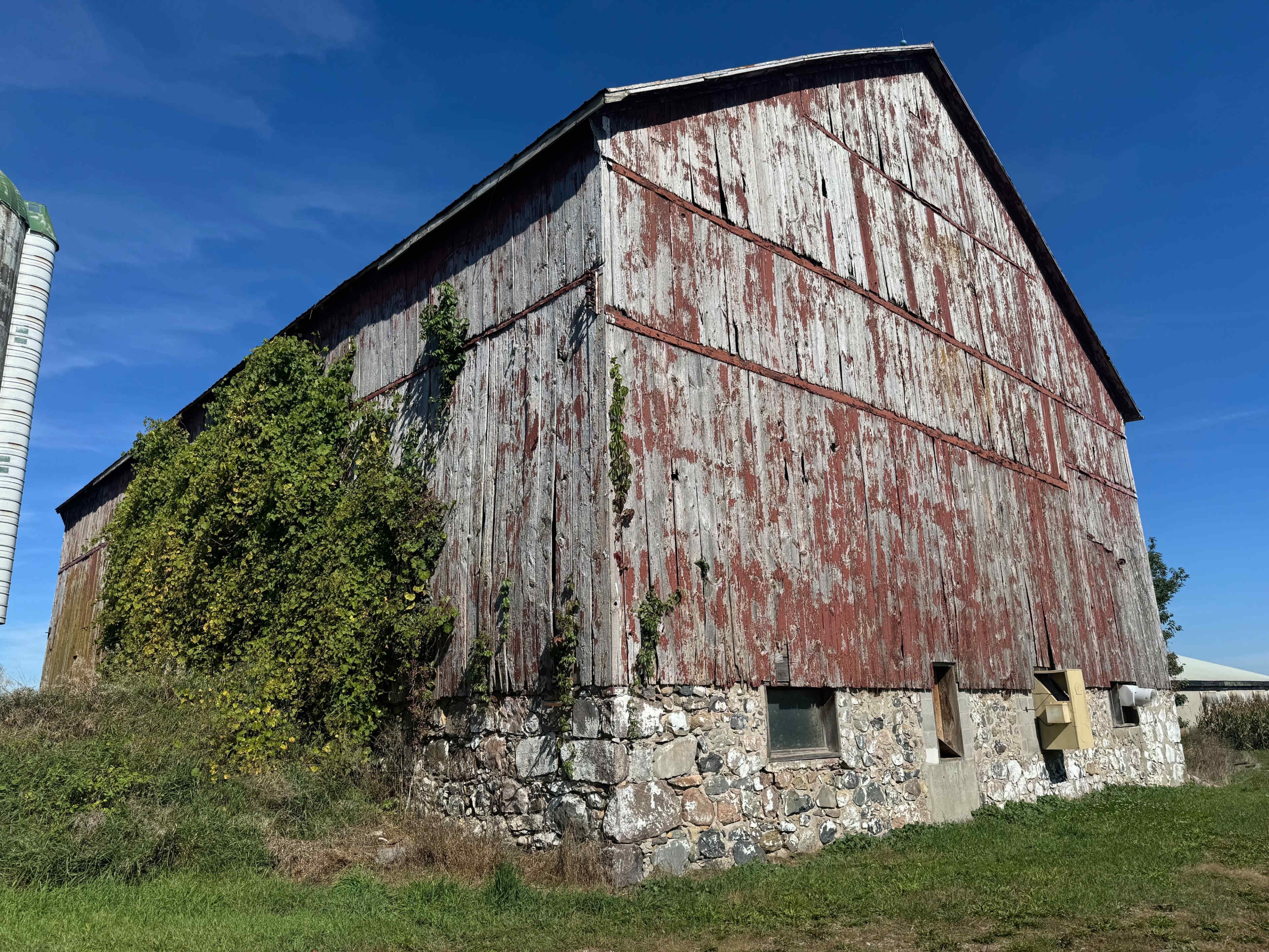 The image shows a weathered red barn with peeling paint, partially covered by green vines, situated beside a stone foundation under a clear blue sky.