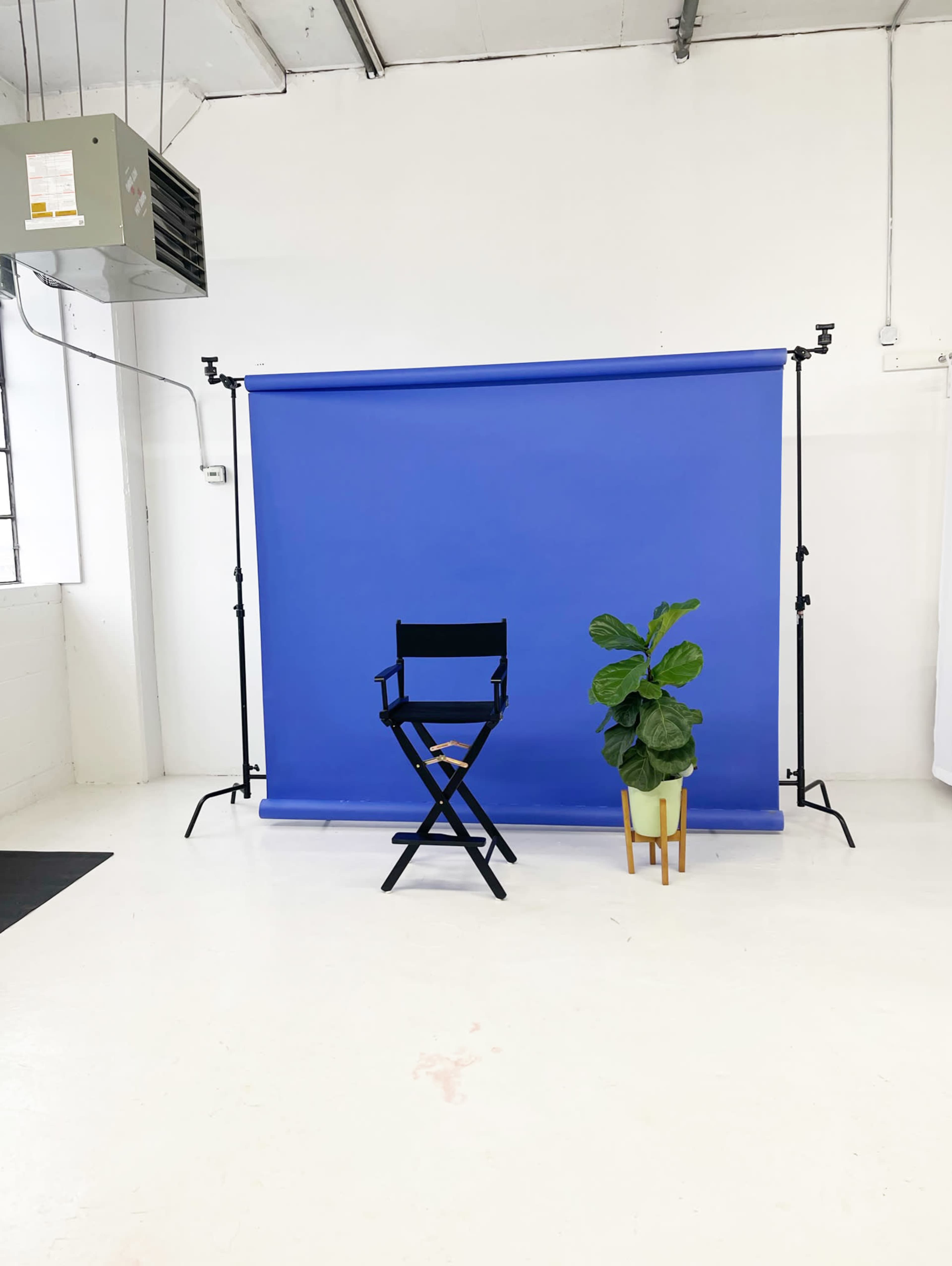 The scene features a black director's chair in front of a blue backdrop, accompanied by a potted plant on the side.