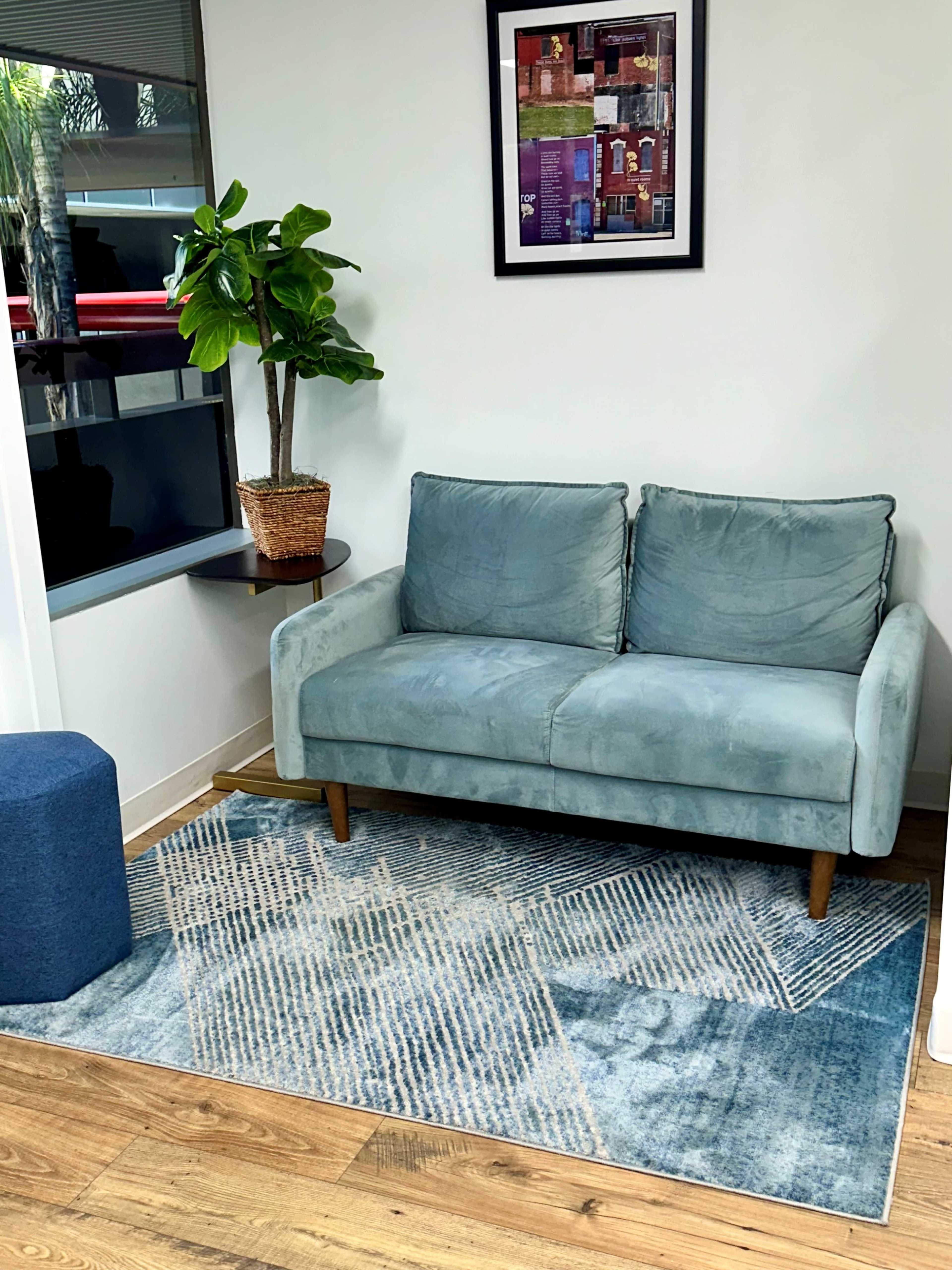 A small living space featuring a light blue sofa, a textured rug, a potted plant, and a framed artwork on the wall.