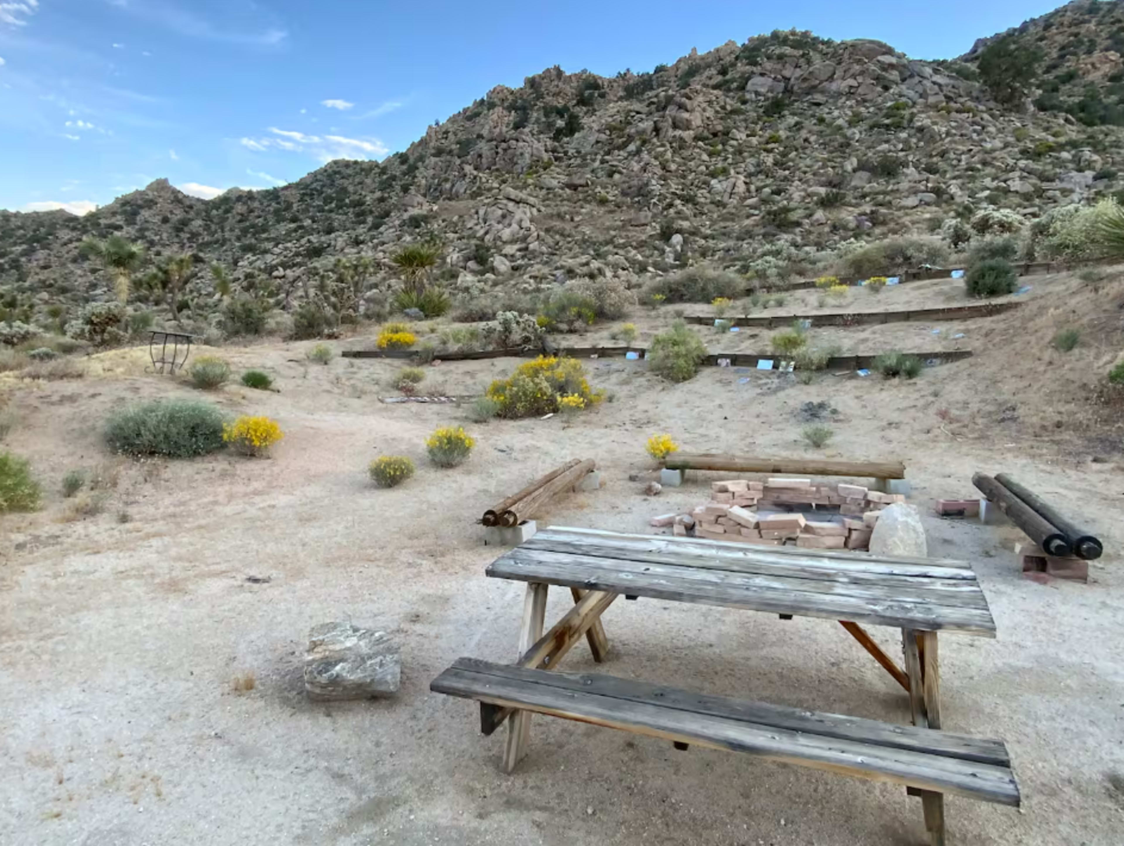 The Big Dome | Geodesic Jewel Image in Joshua Tree, Joshua Tree, CA