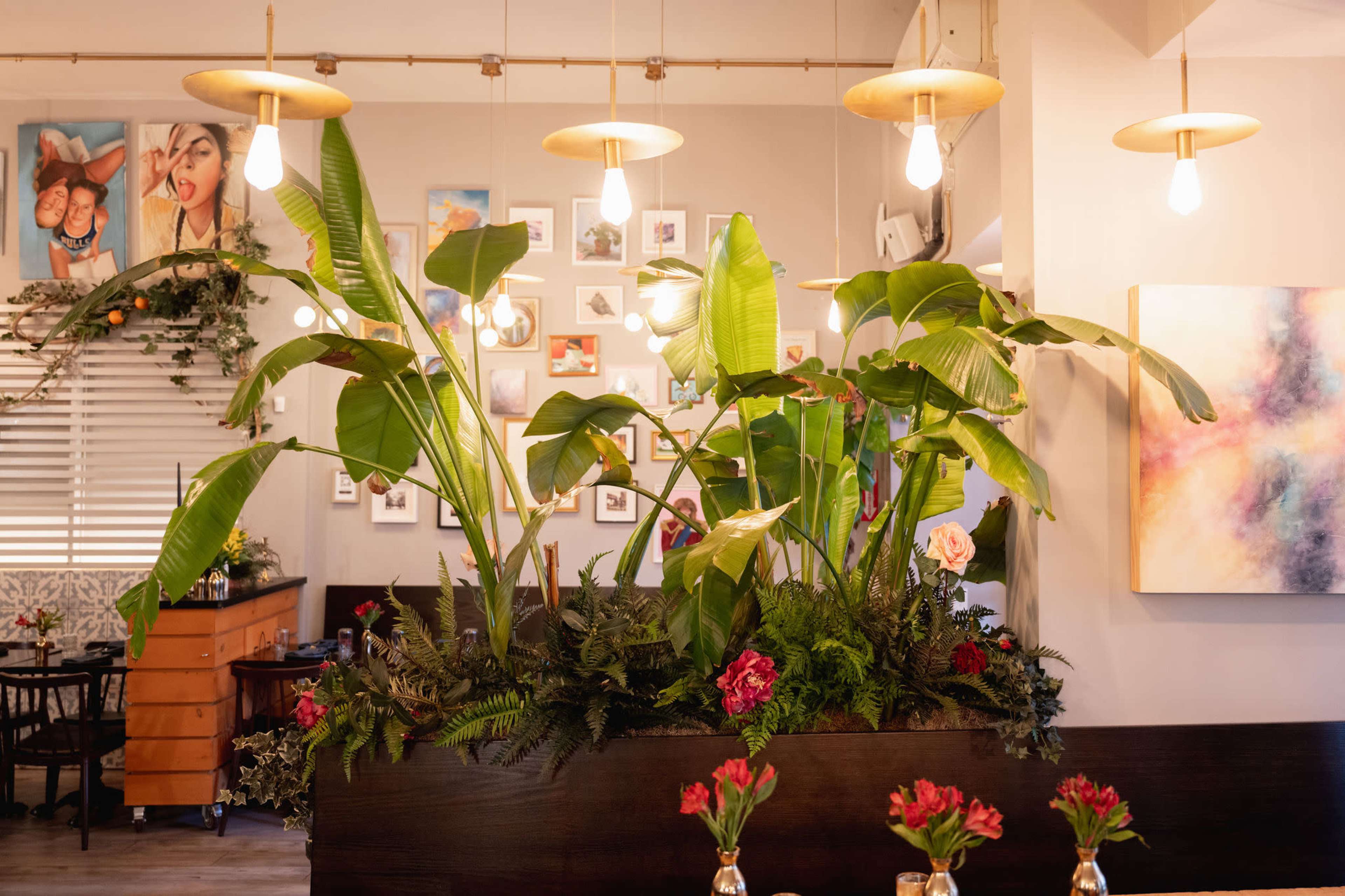 The image shows a restaurant interior with large green plants in a wooden planter, hanging light fixtures, and framed pictures on the walls.
