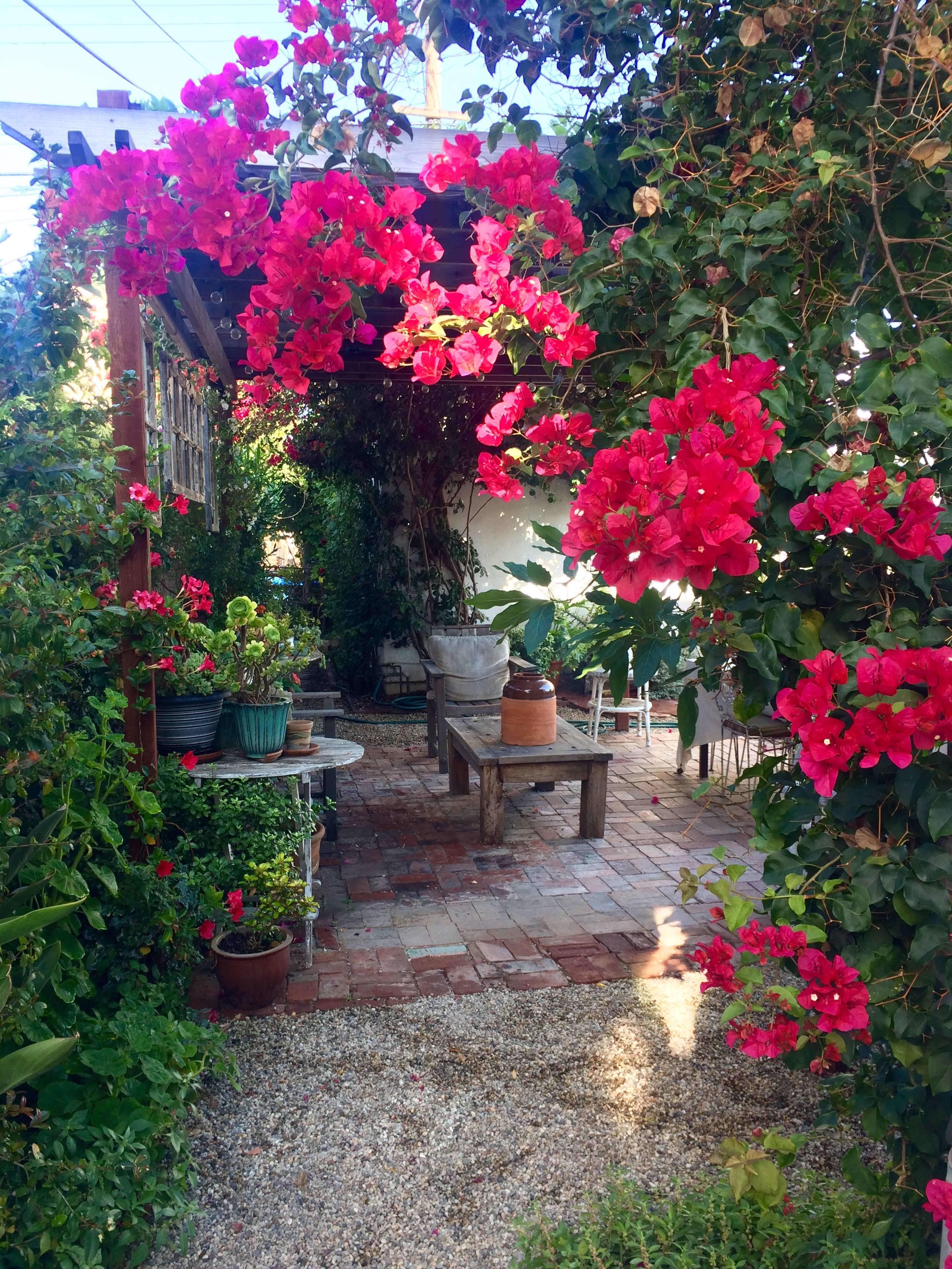 A garden path is framed by vibrant bougainvillea flowers leading to a shaded seating area with potted plants.