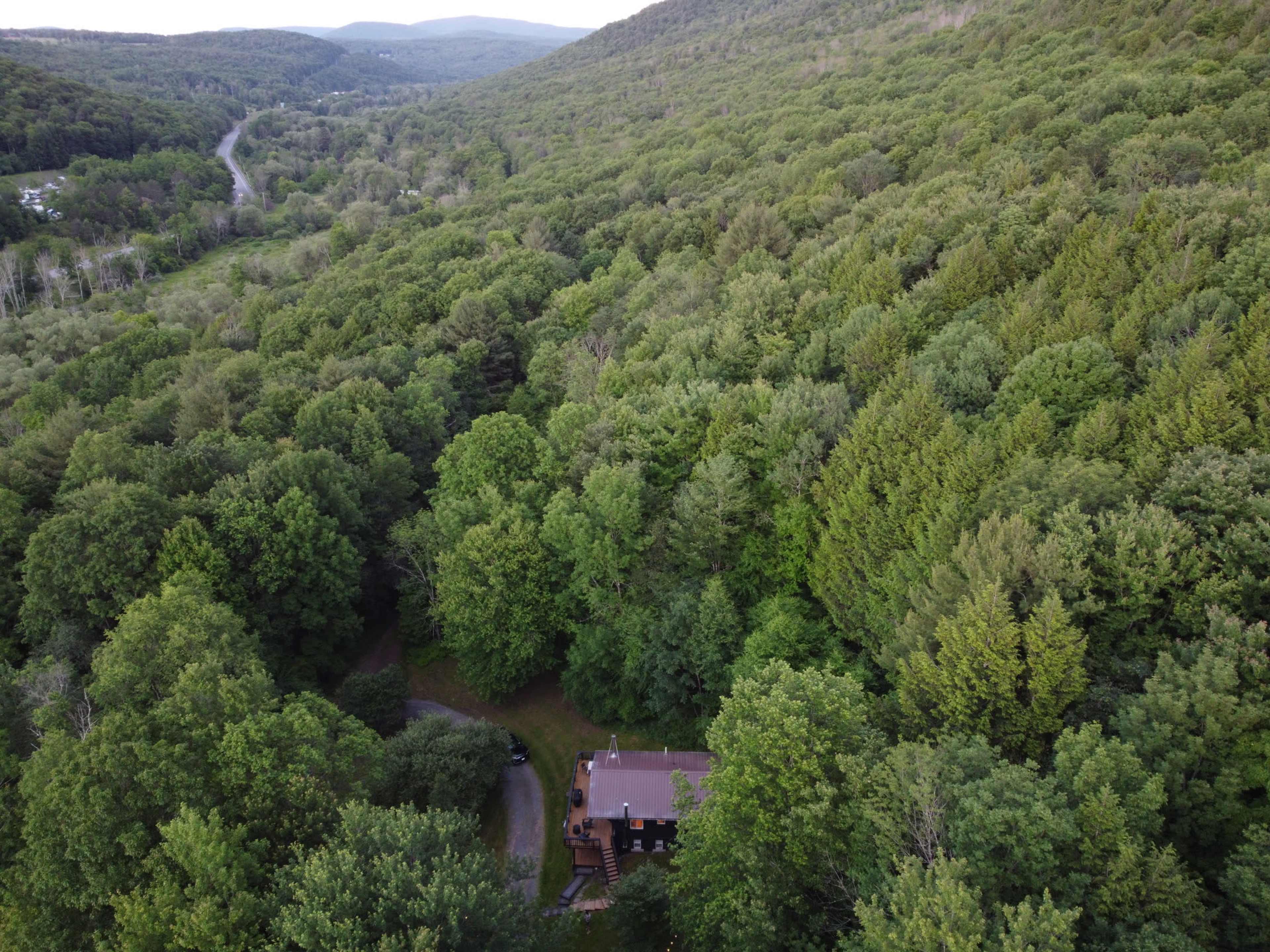 A cabin is nestled among dense green trees in a mountainous landscape.