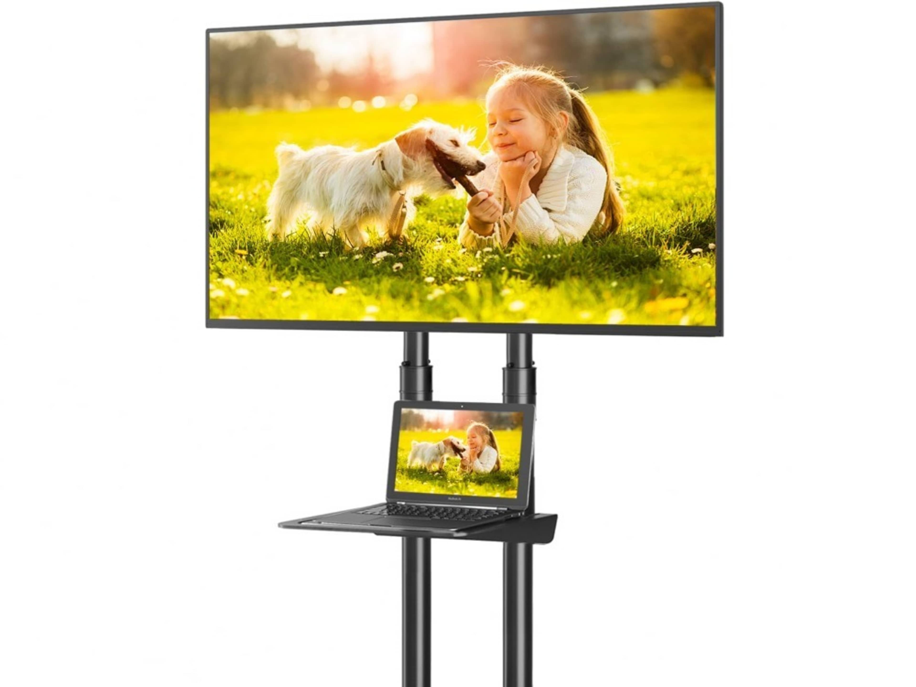 Television/Monitor