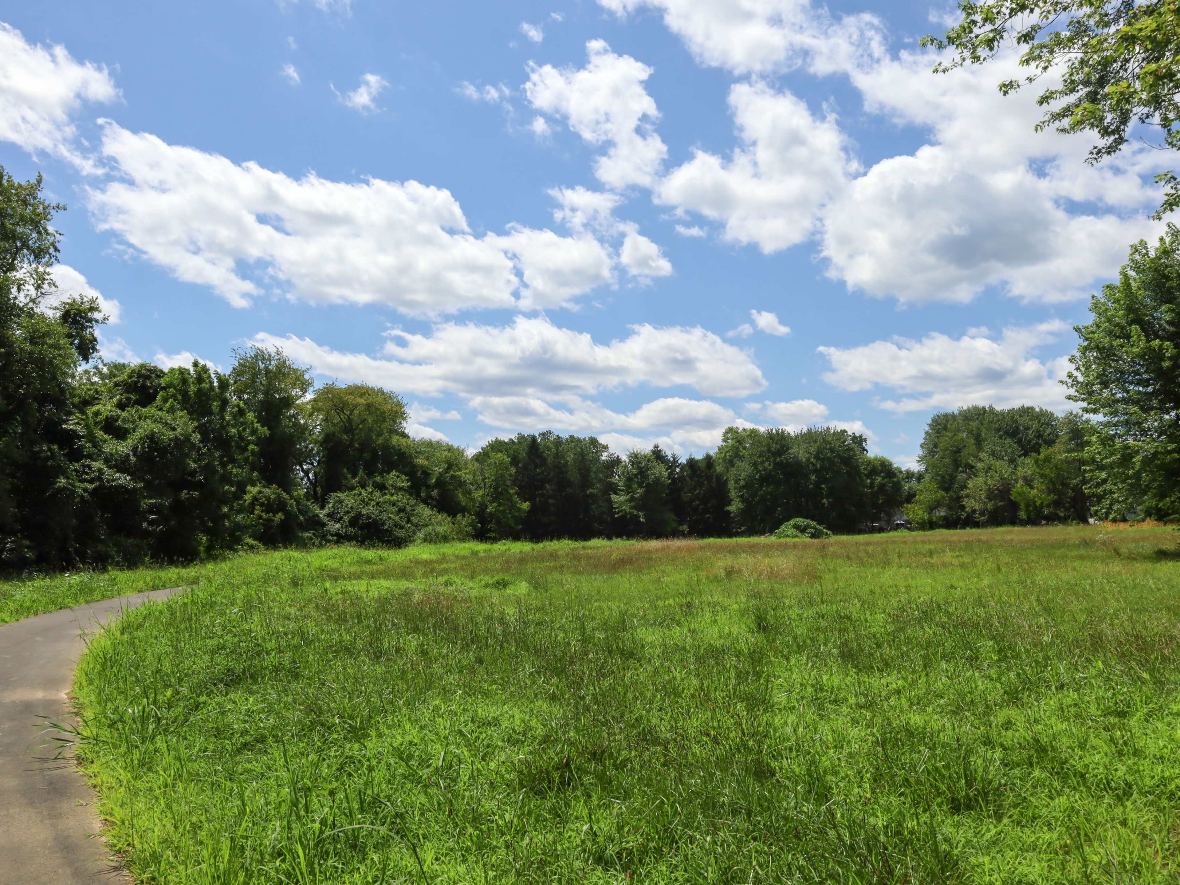 A winding path leads through a grassy field under a cloudy blue sky.