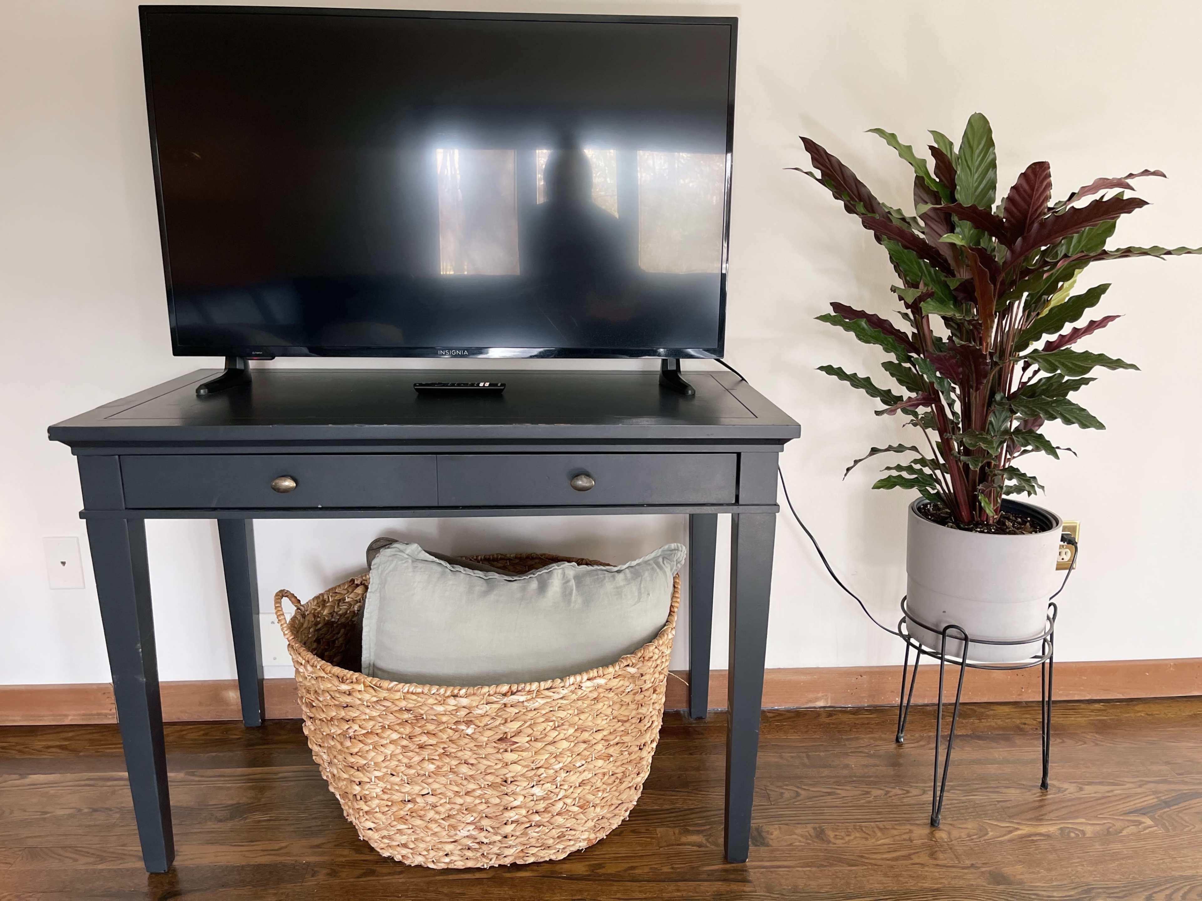 A black table supports a television, with a woven basket underneath and a potted plant beside it on a stand.