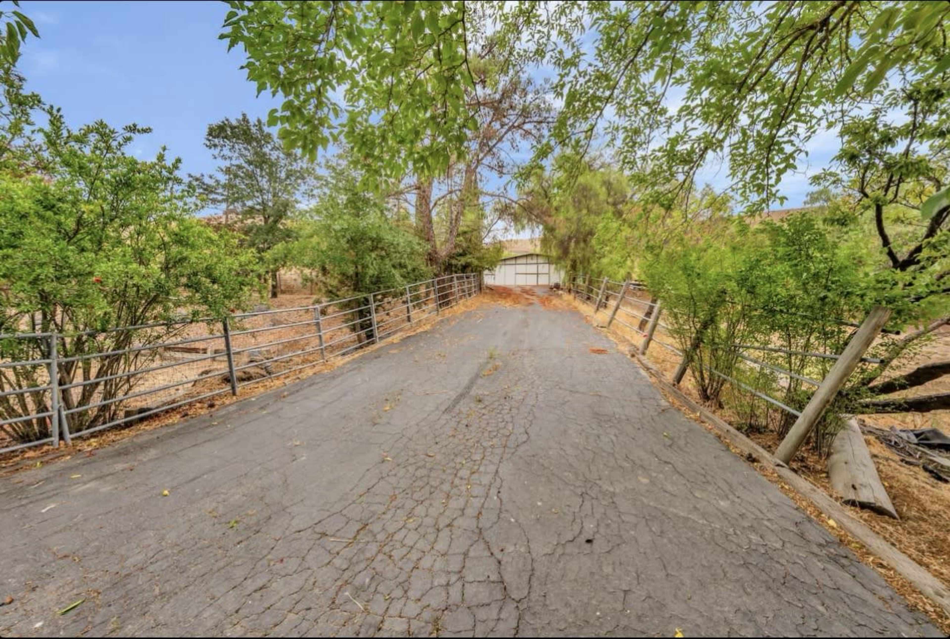 The image shows a cracked asphalt driveway leading to a building, bordered by trees and shrubs.
