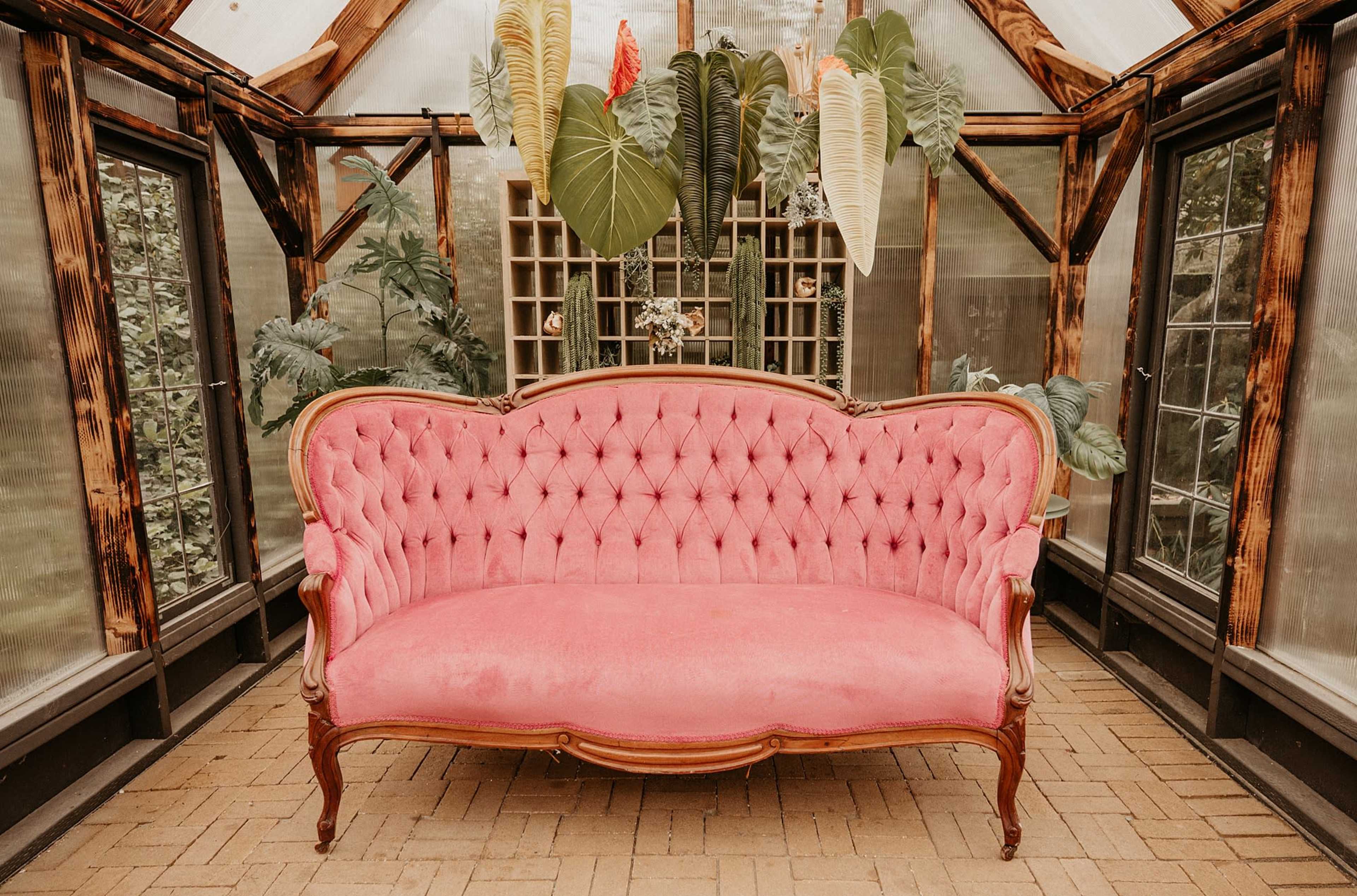 A pink tufted couch is centered in a greenhouse surrounded by various plants.