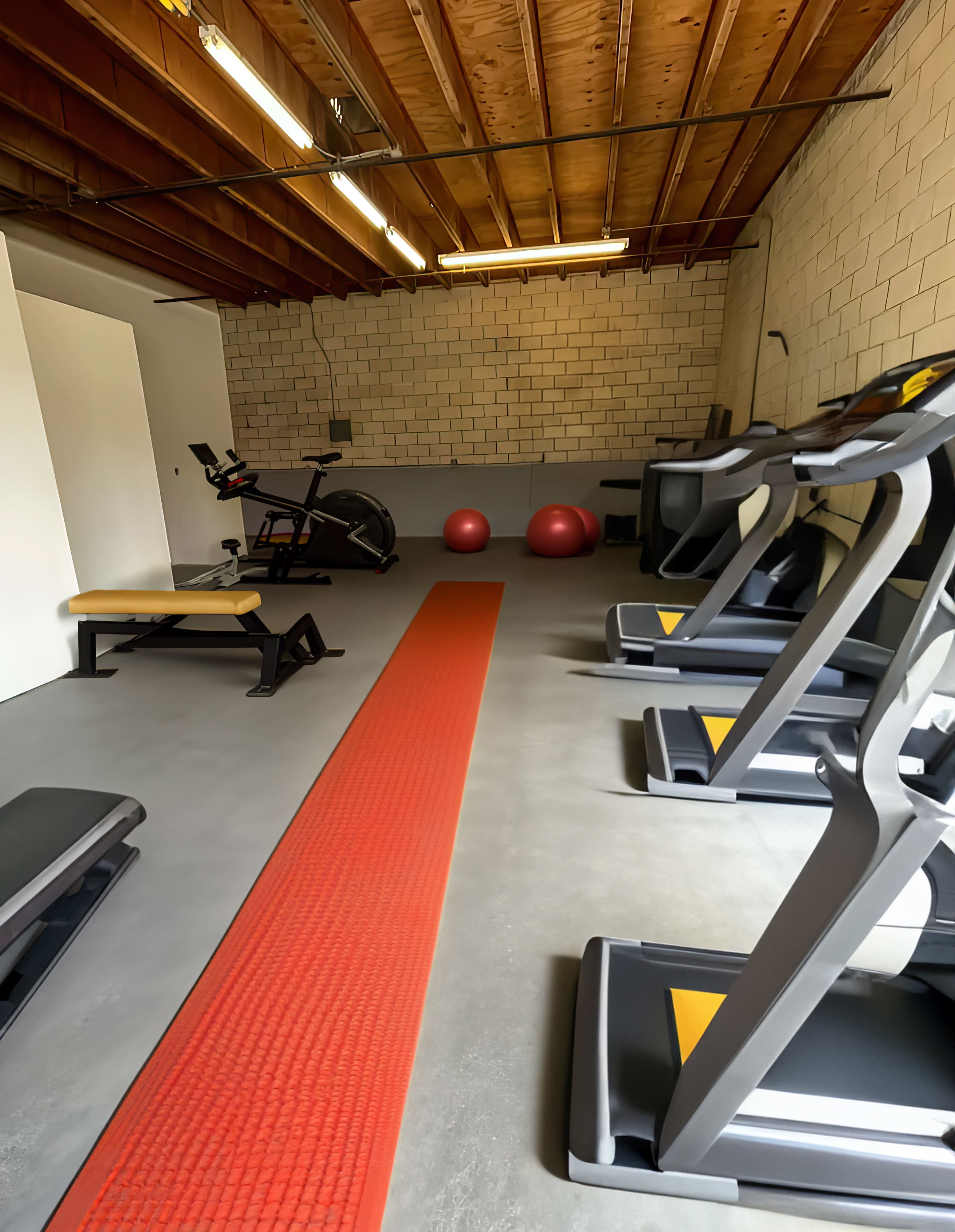 A spacious home gym with exercise equipment including treadmills, a stationary bike, and exercise balls, all arranged along a red exercise mat.